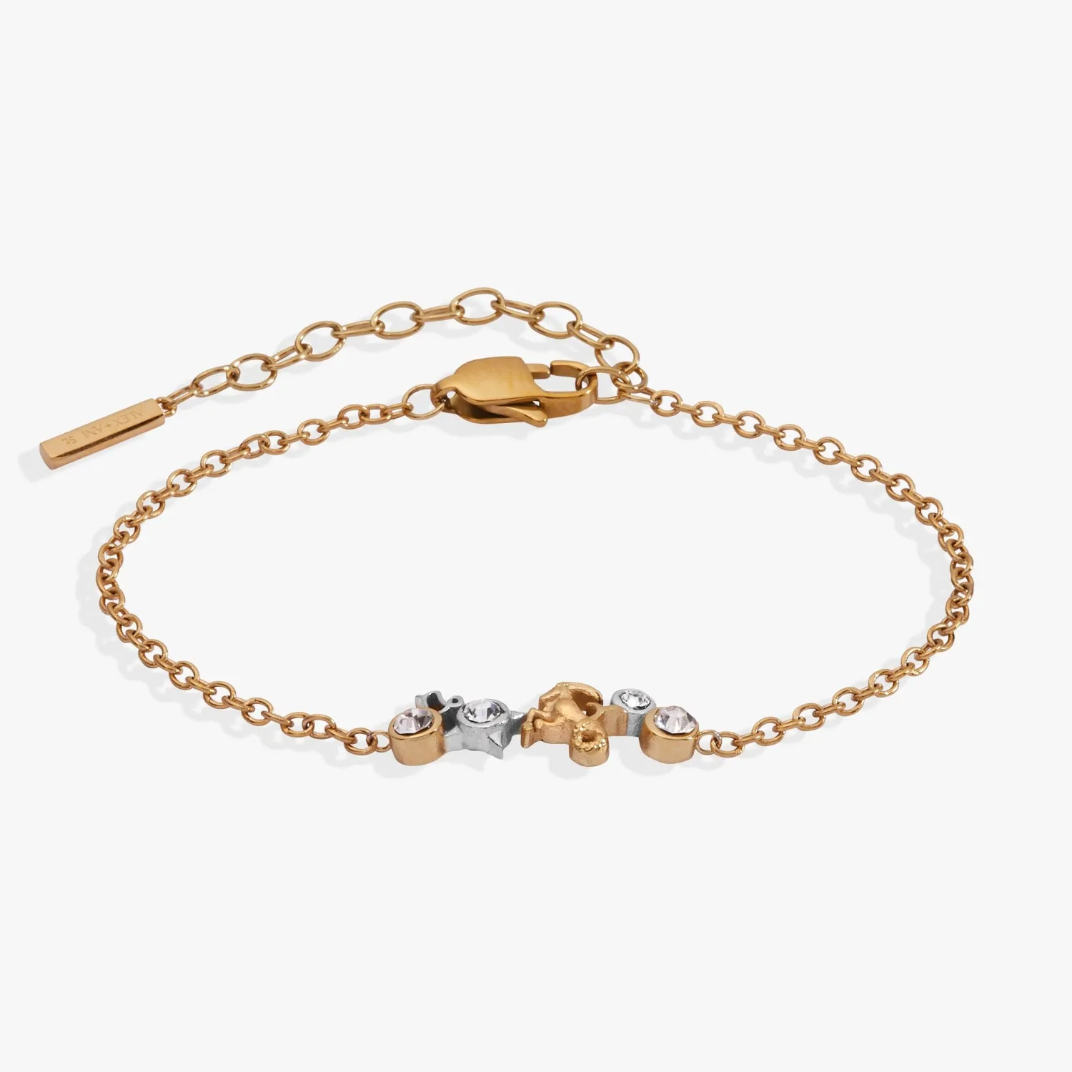 Capricorn Zodiac Inline Bracelet sold by Alex and Ani