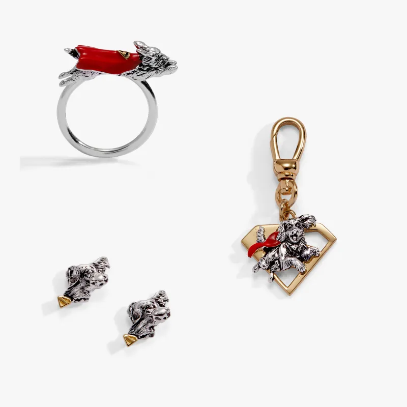 SUPERMAN™ Krypto The Superdog Collector's Pack Bundle made by Alex and Ani