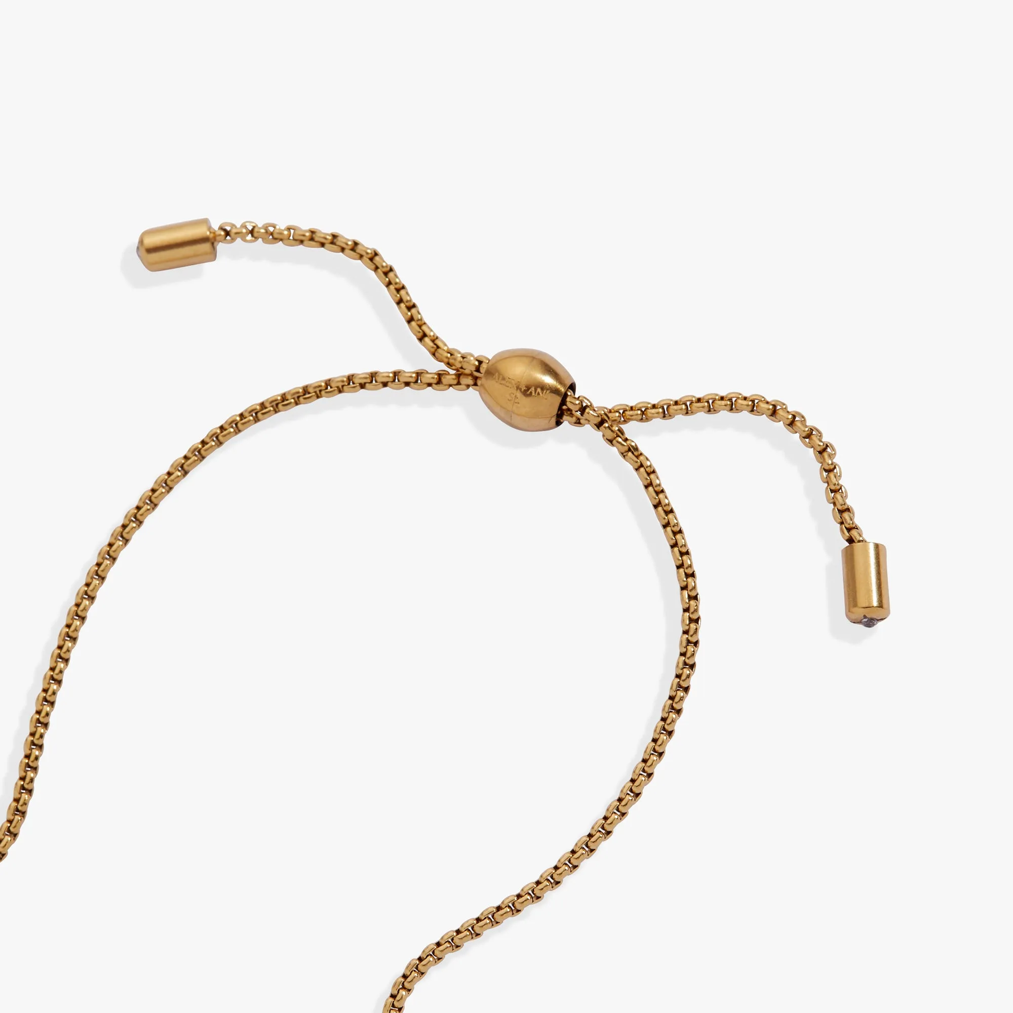 May Everyday Birthstone Pave Bolo Bracelet sold by Alex and Ani product image thumbnail 4