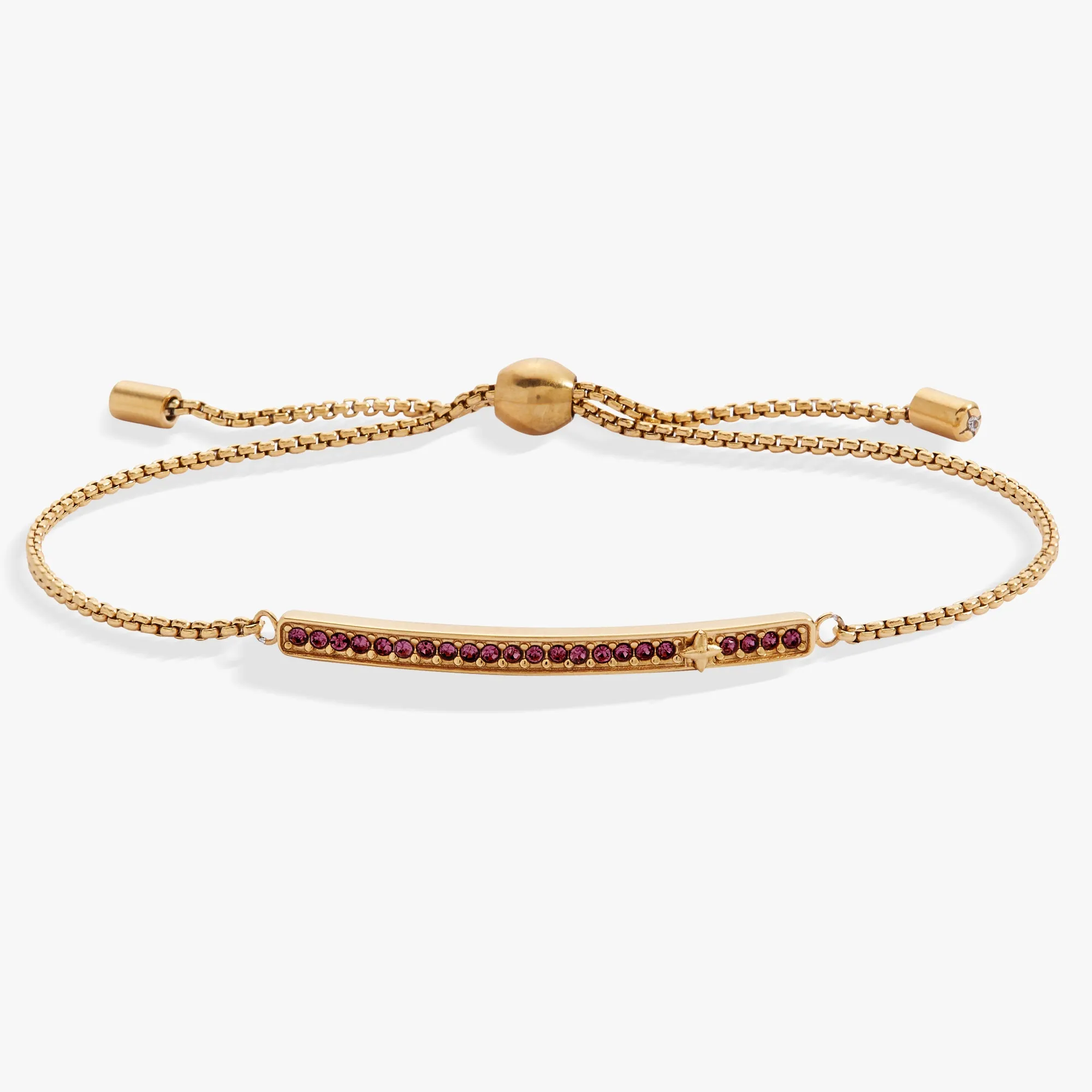 February Everyday Birthstone Pave Bolo Bracelet sold by Alex and Ani