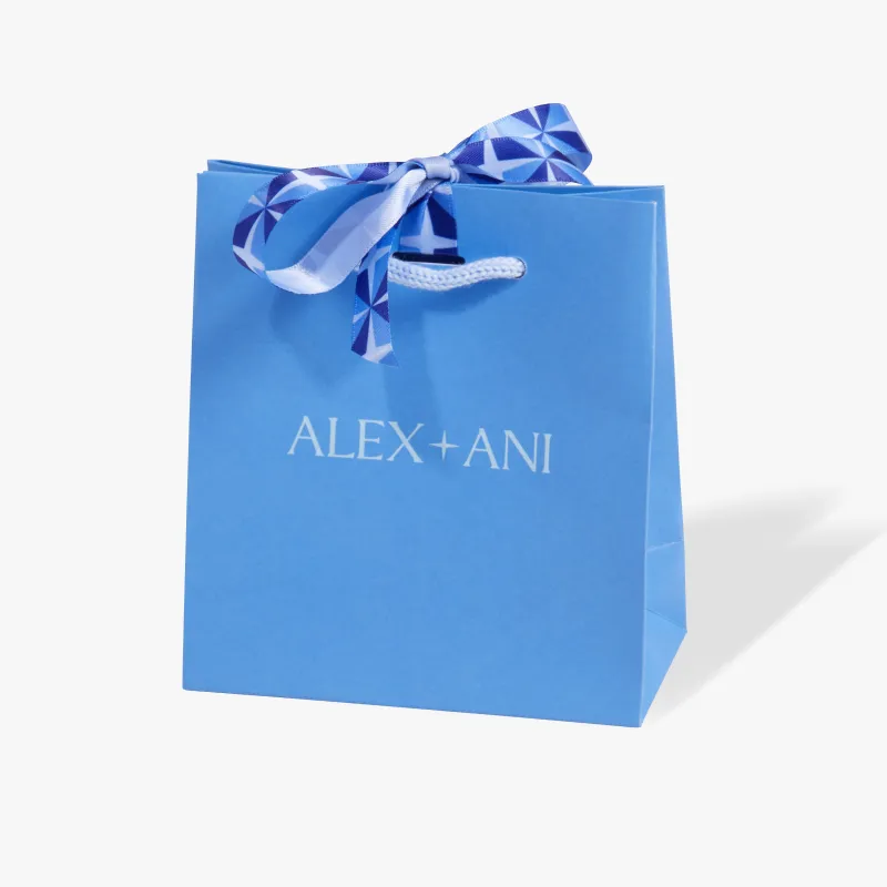 Classic Gift Bag sold by Alex and Ani