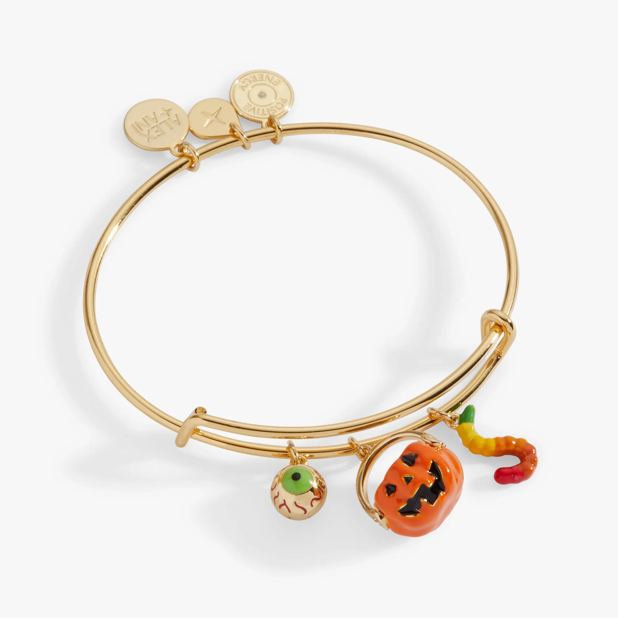 'Trick or Treat' Multi Charm Bangle sold by Alex and Ani
