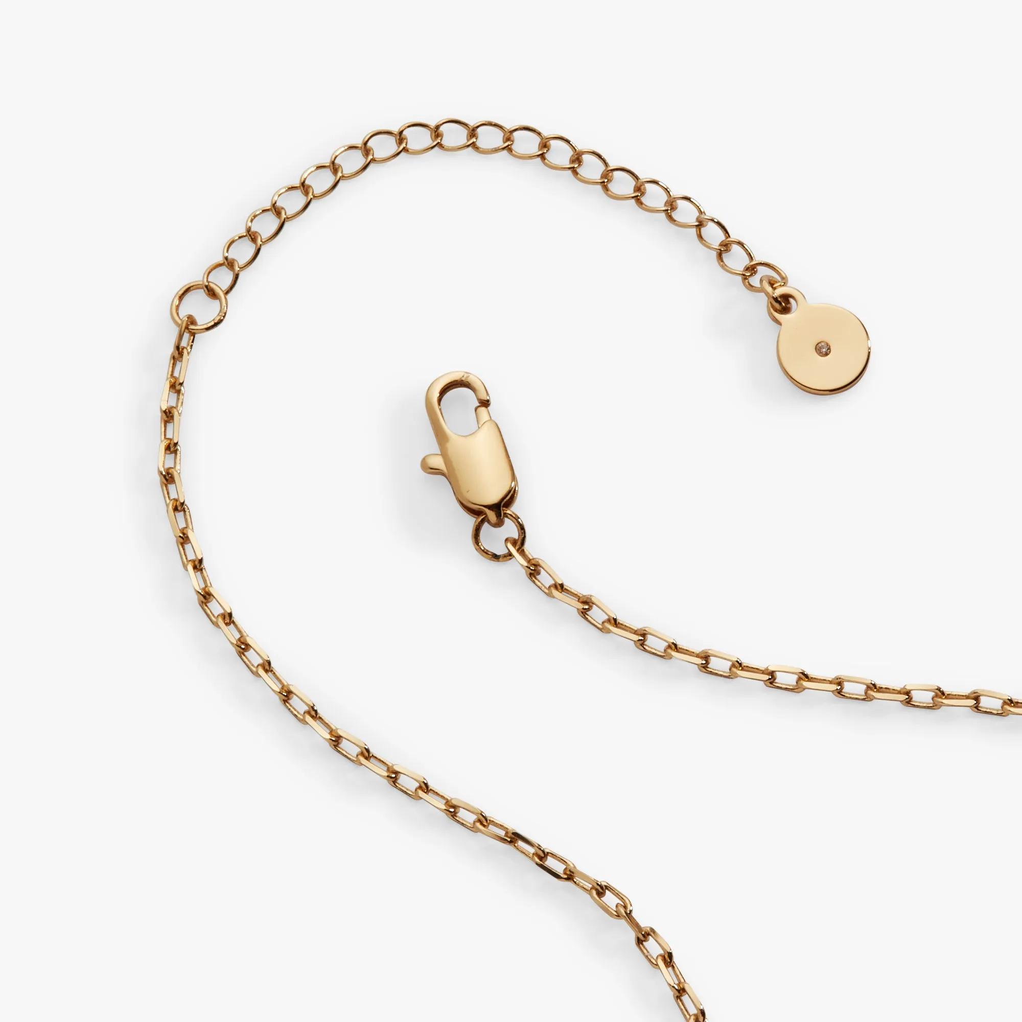 Holly 'Believe In The Magic Of The Season' Pendant Necklace sold by Alex and Ani product image thumbnail 4