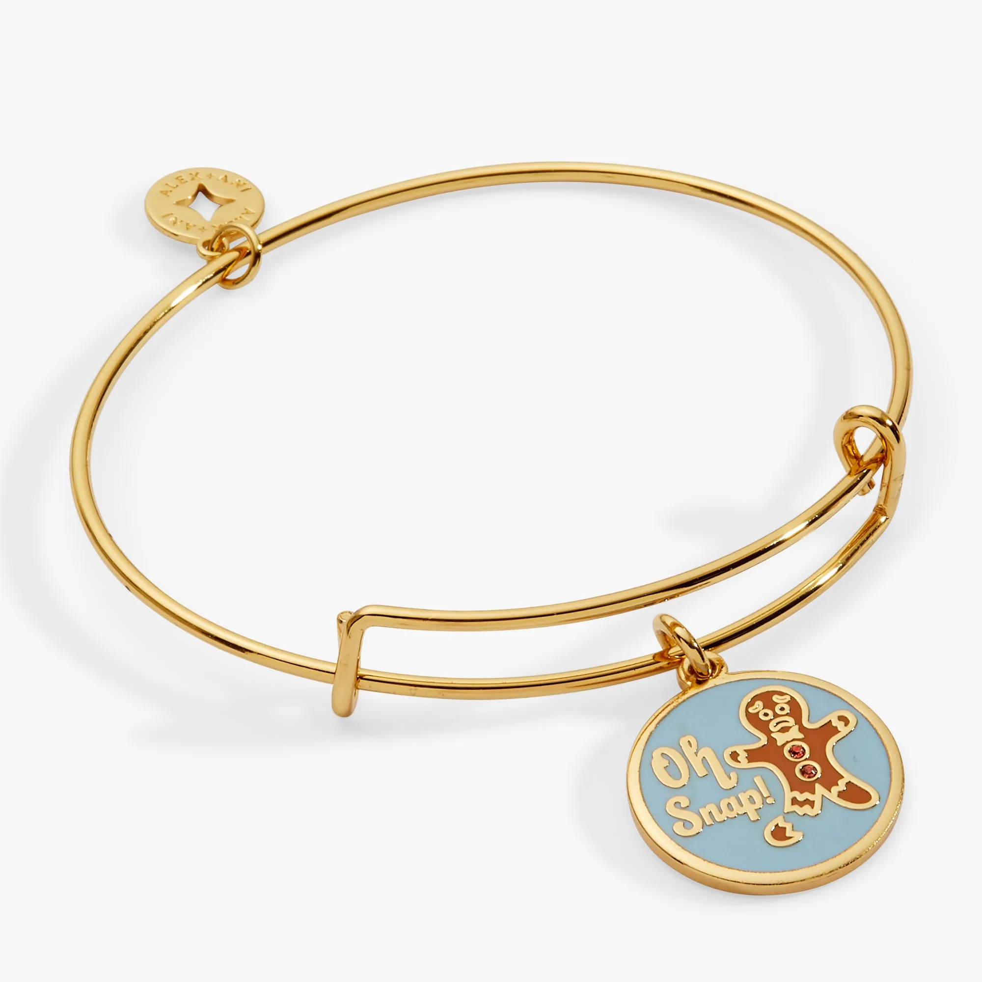 'Oh Snap!' Gingerbread Charm Bangle sold by Alex and Ani product image thumbnail 2