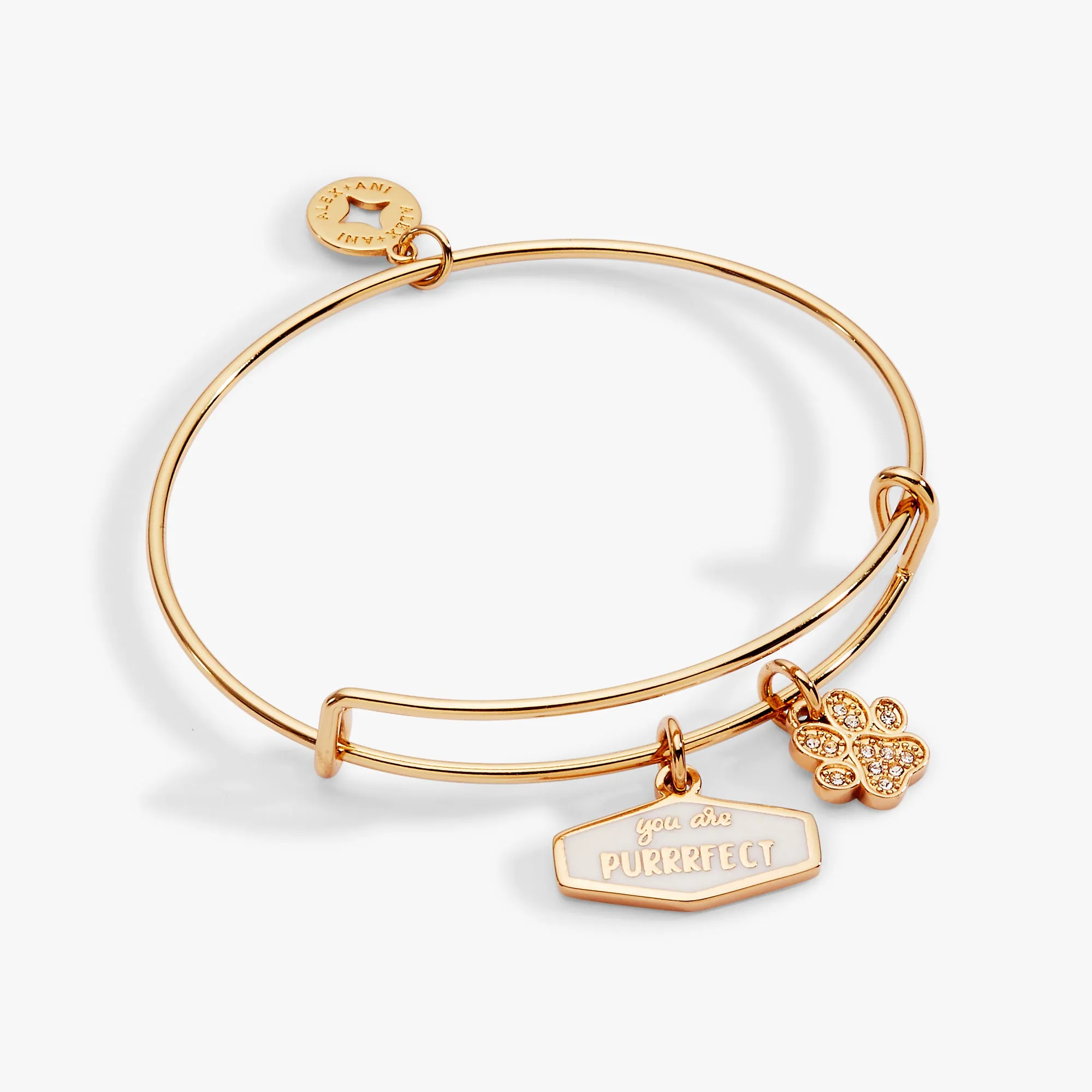 You Are Purrrfect Charm Bangle sold by Alex and Ani