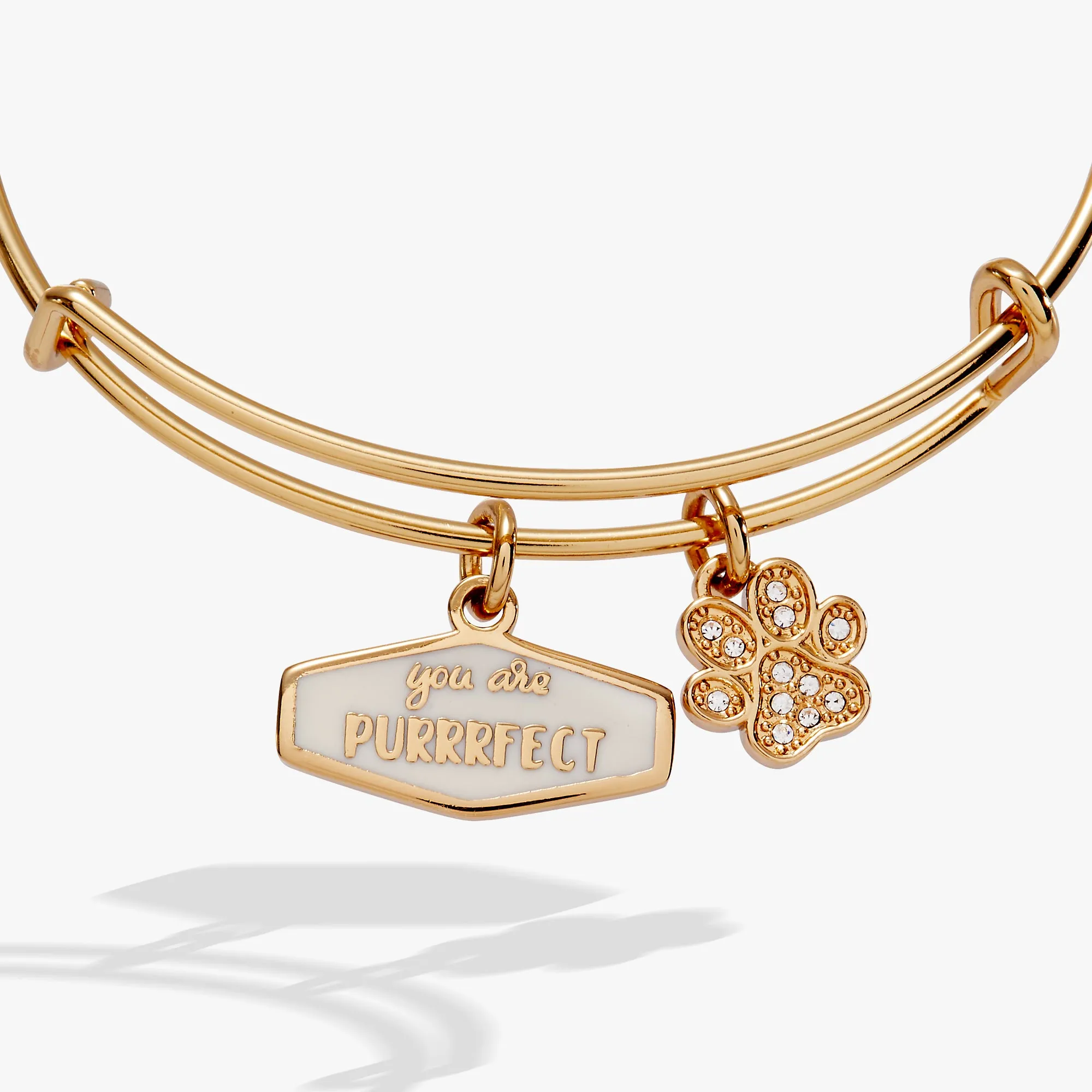 You Are Purrrfect Charm Bangle sold by Alex and Ani product image thumbnail 2