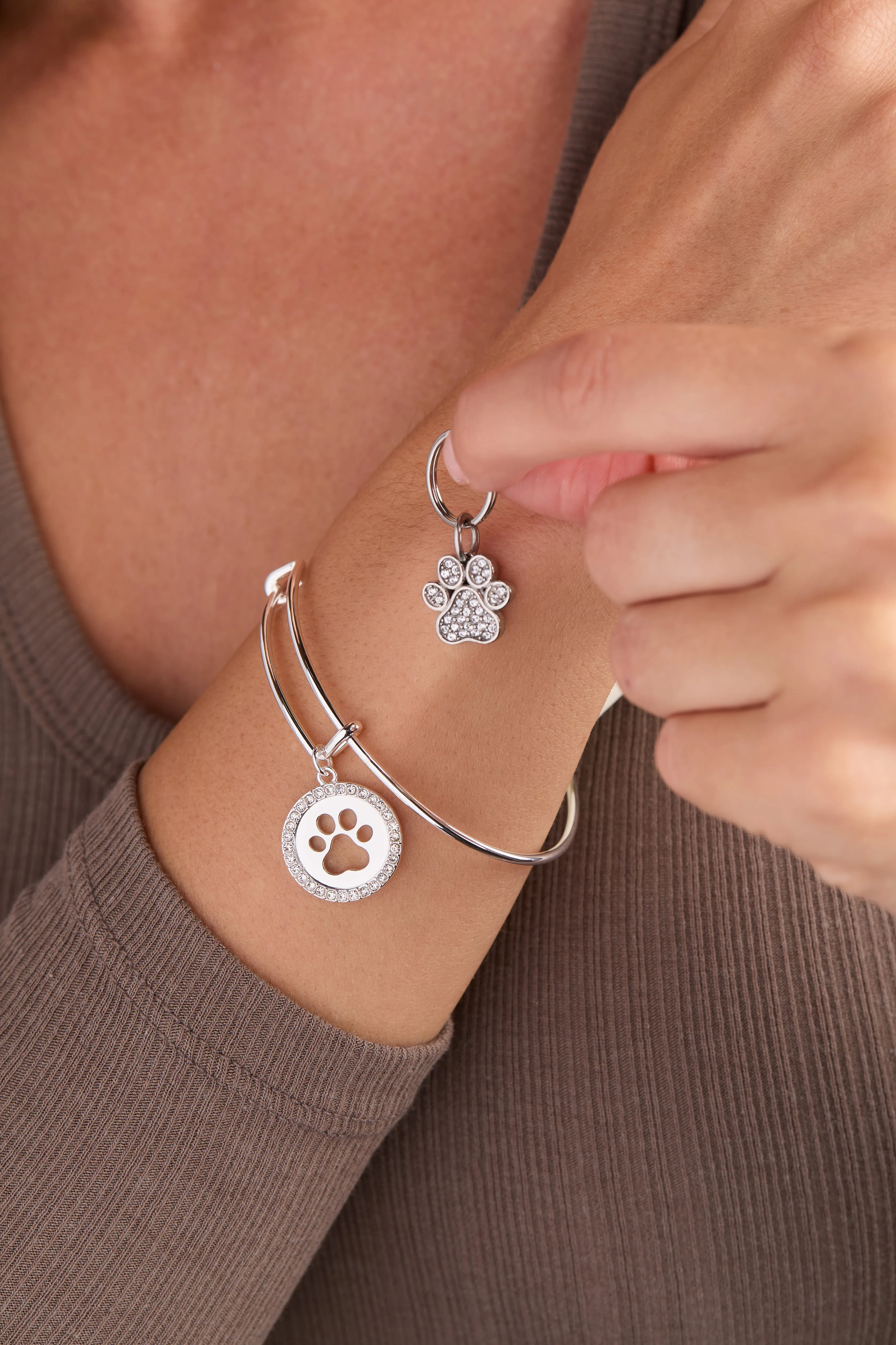 Paw Print Bangle & Pet Collar Charm Set of 2 sold by Alex and Ani product image thumbnail 2