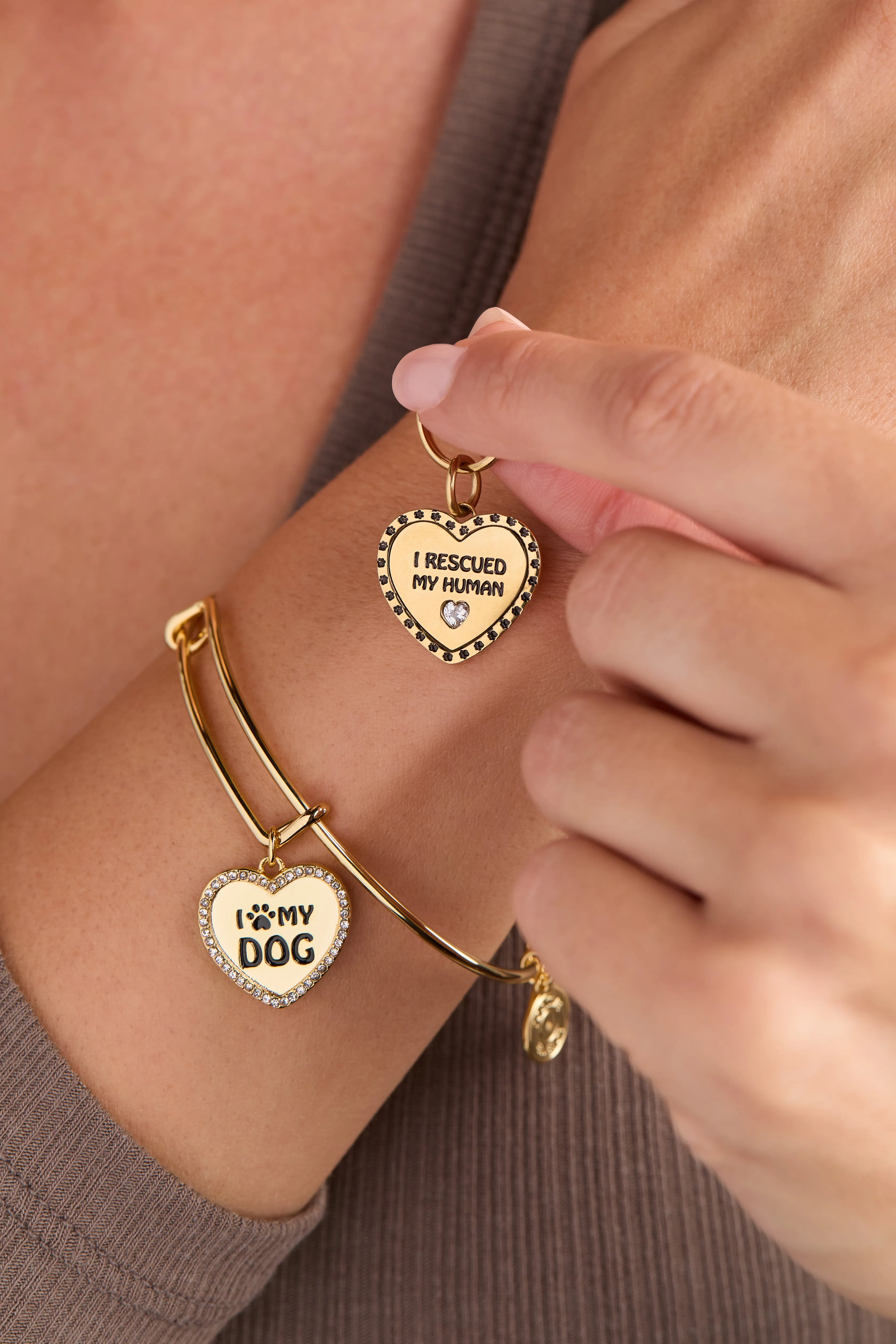 'I Love My Dog' Bangle & Pet Collar Charm Set of 2 sold by Alex and Ani product image thumbnail 2