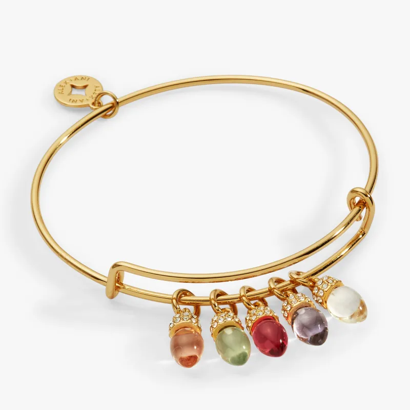 Christmas Muted Light Bulb Charm Bangle sold by Alex and Ani