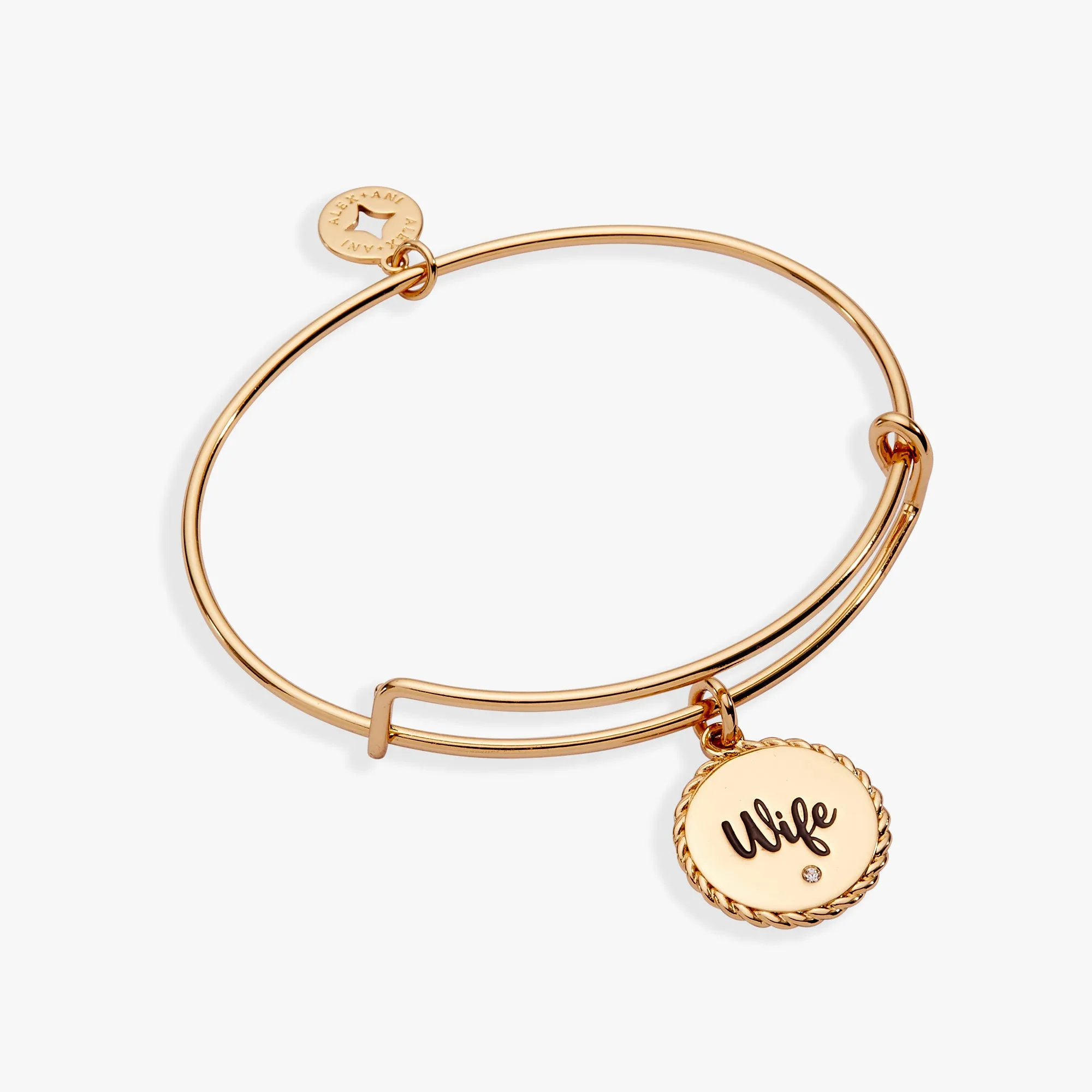 Wife 'True Love Stories Never Have Endings' Charm Bangle sold by Alex and Ani