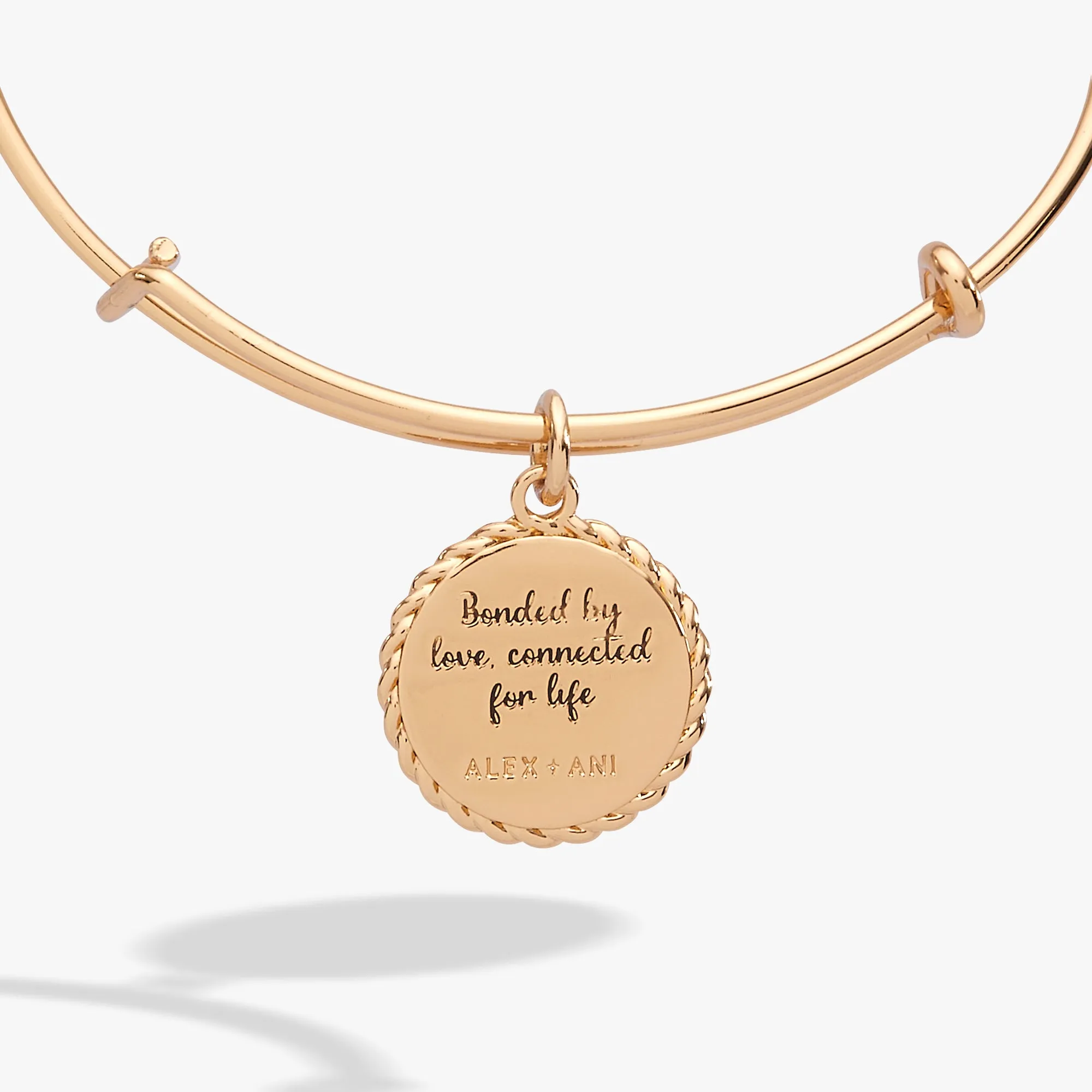 Mom 'Bonded By Love, Connected For Life' Charm Bangle sold by Alex and Ani product image thumbnail 2