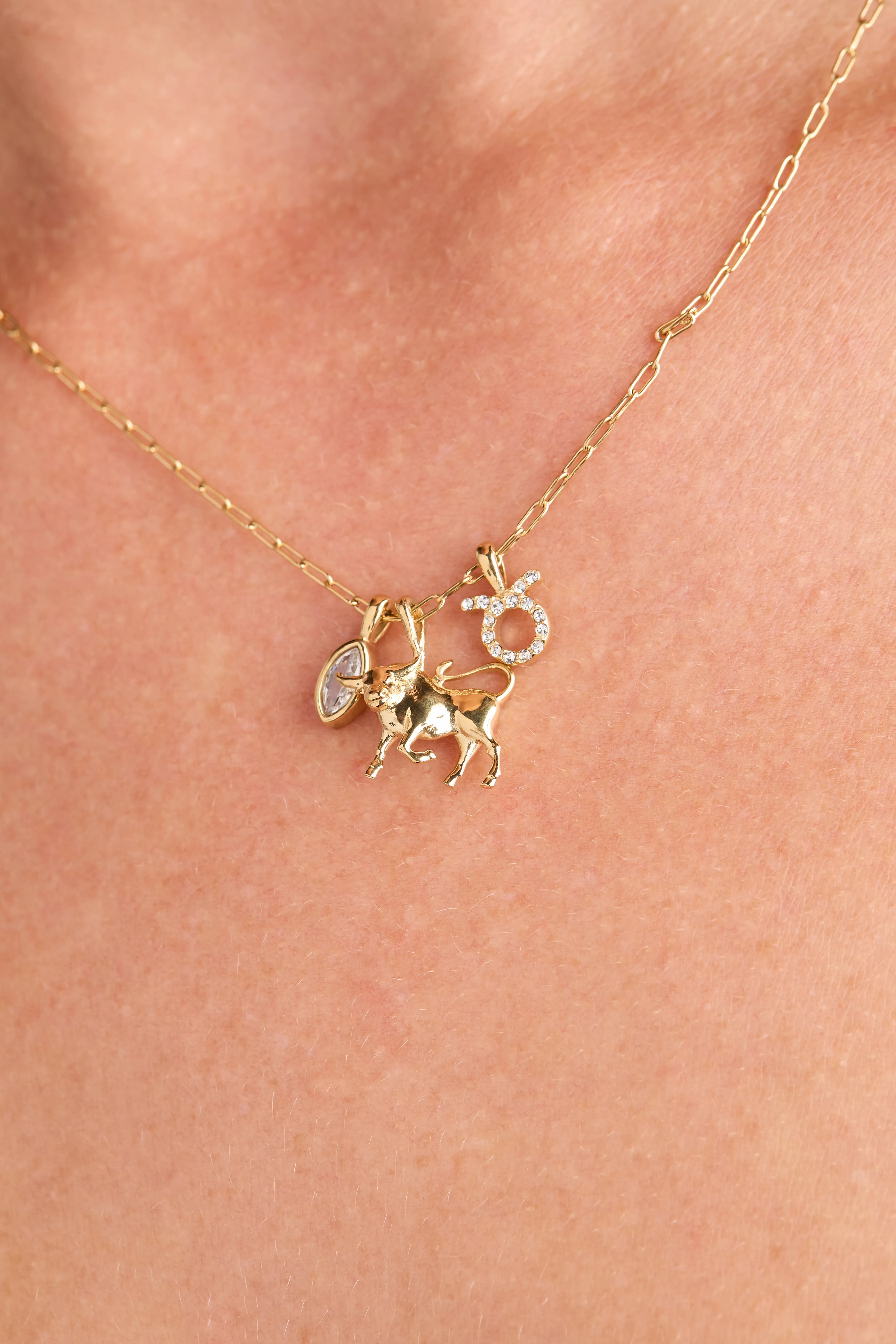 Taurus Zodiac Charm Cluster Necklace sold by Alex and Ani product image thumbnail 2
