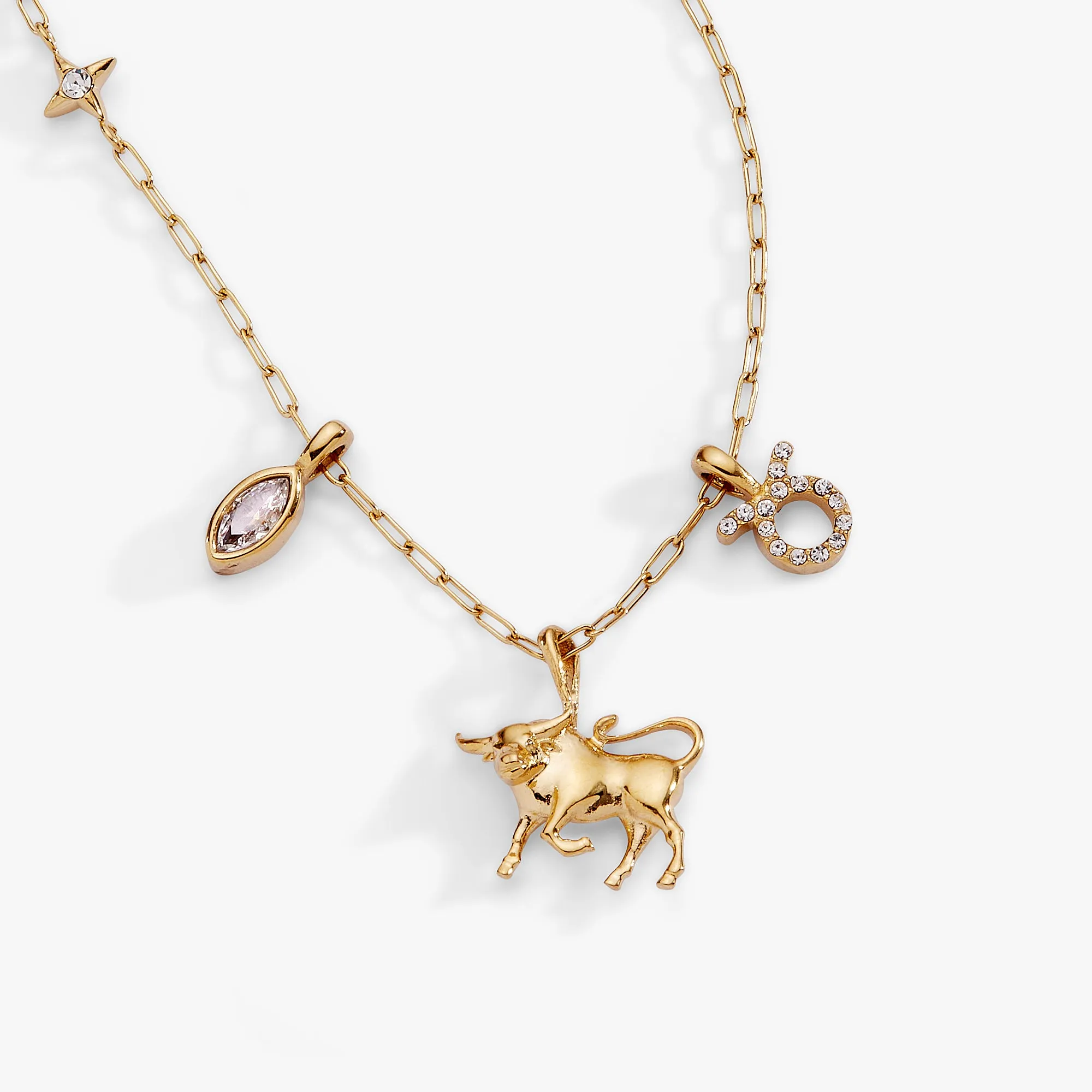 Taurus Zodiac Charm Cluster Necklace sold by Alex and Ani product image thumbnail 3
