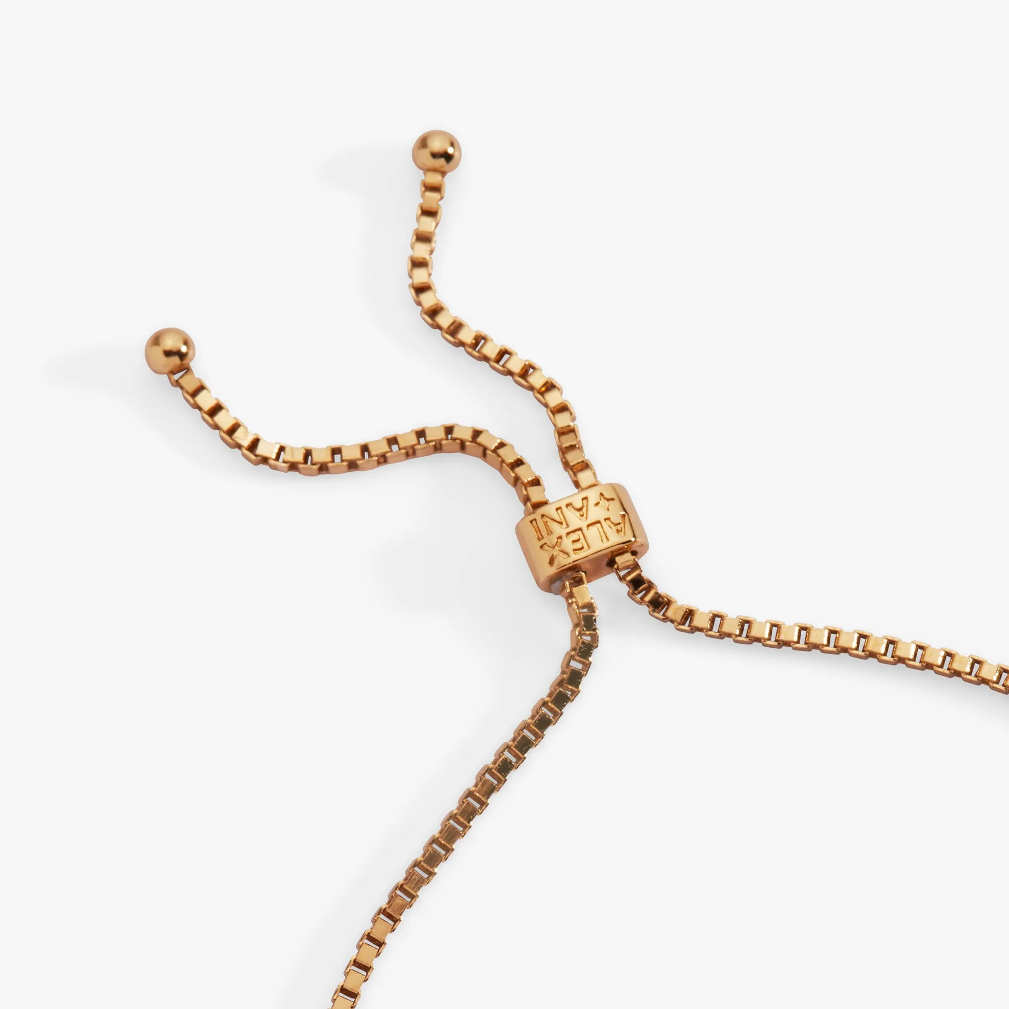 Lucky Symbol Bolo Bracelet sold by Alex and Ani product image thumbnail 5