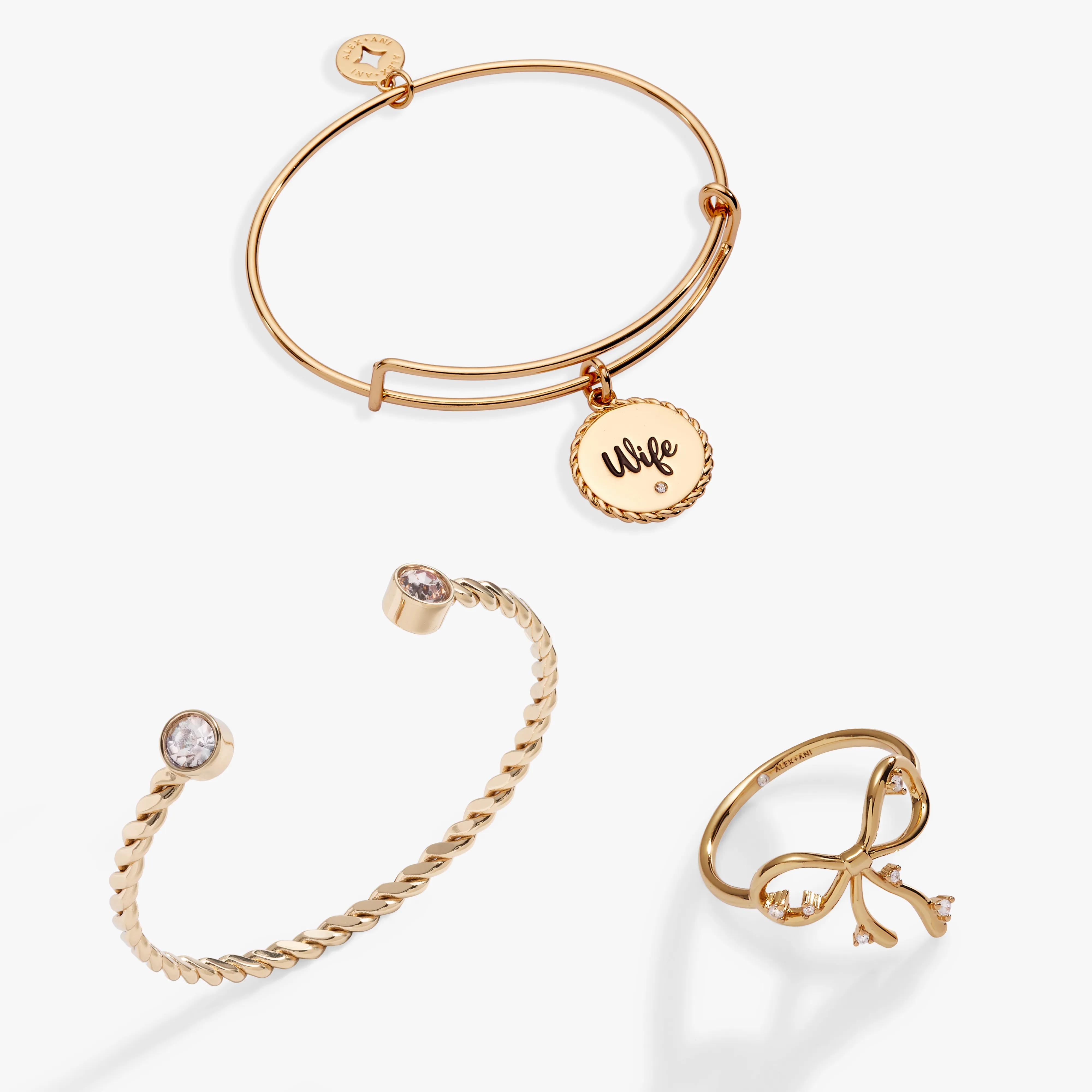 The Wifey Bundle in Gold sold by Alex and Ani