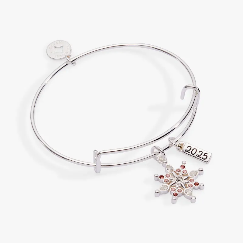 2025 Winter Snowflake Charm Bangle sold by Alex and Ani