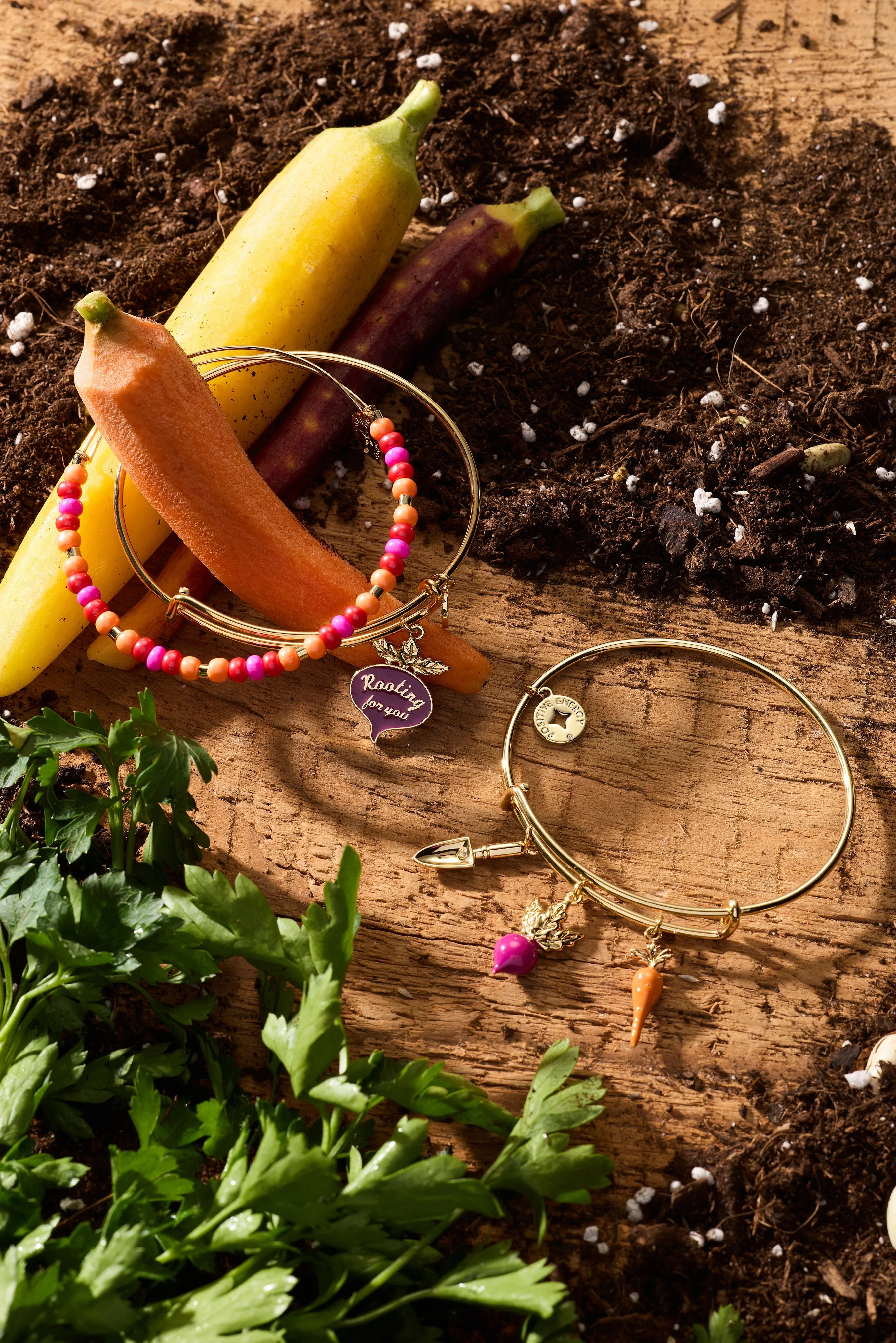 Farmers' Market Beaded Charm Bangle sold by Alex and Ani product image thumbnail 4