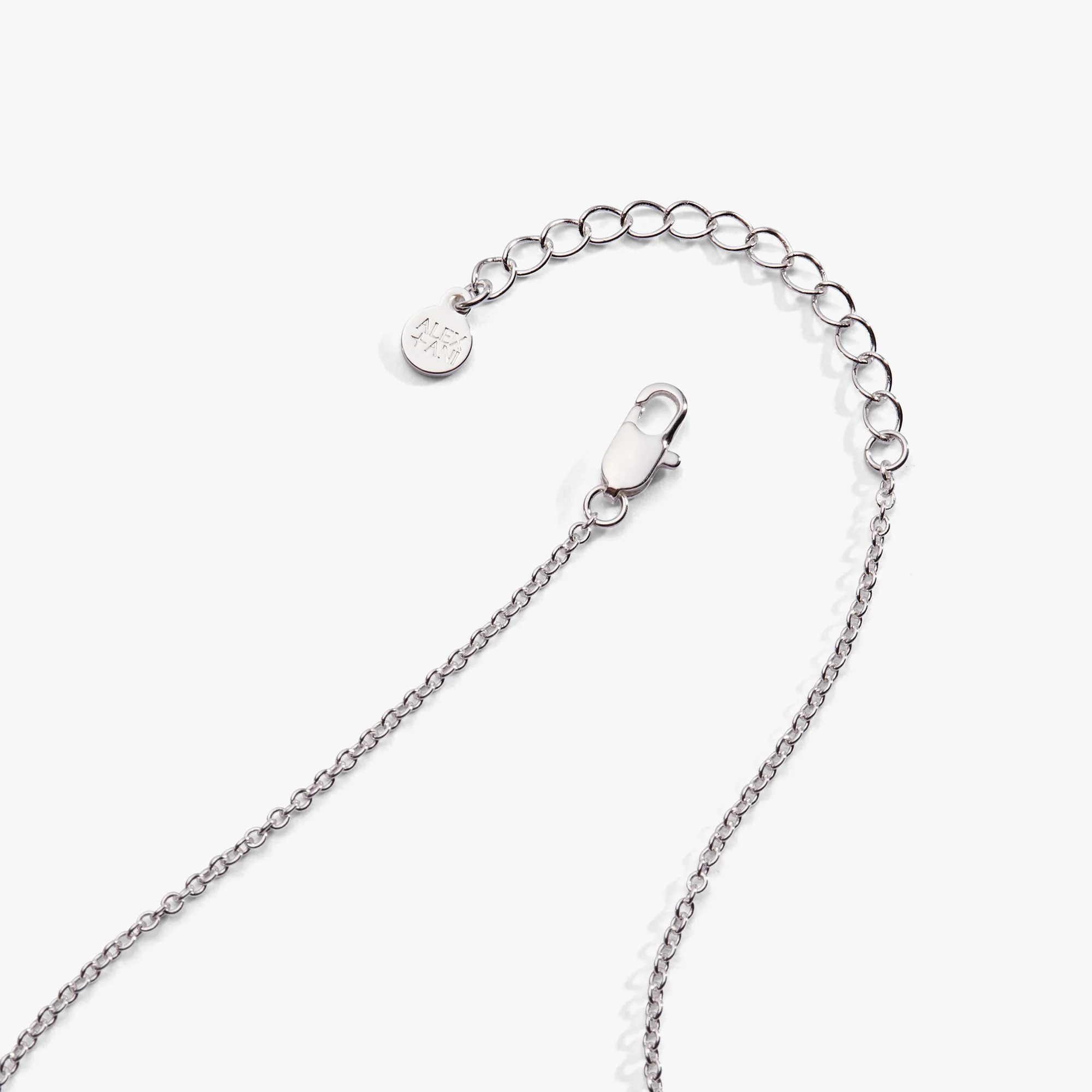 Watering Can Pendant Necklace sold by Alex and Ani product image thumbnail 3