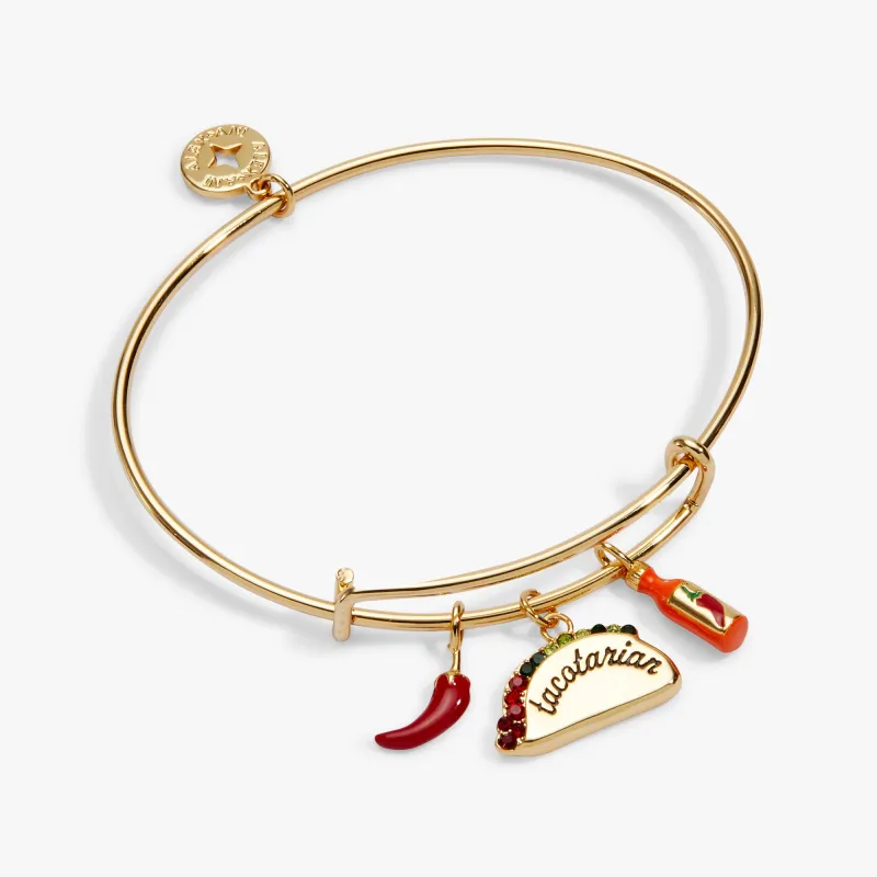 'Tacotarian' Multi Charm Bangle made by Alex and Ani