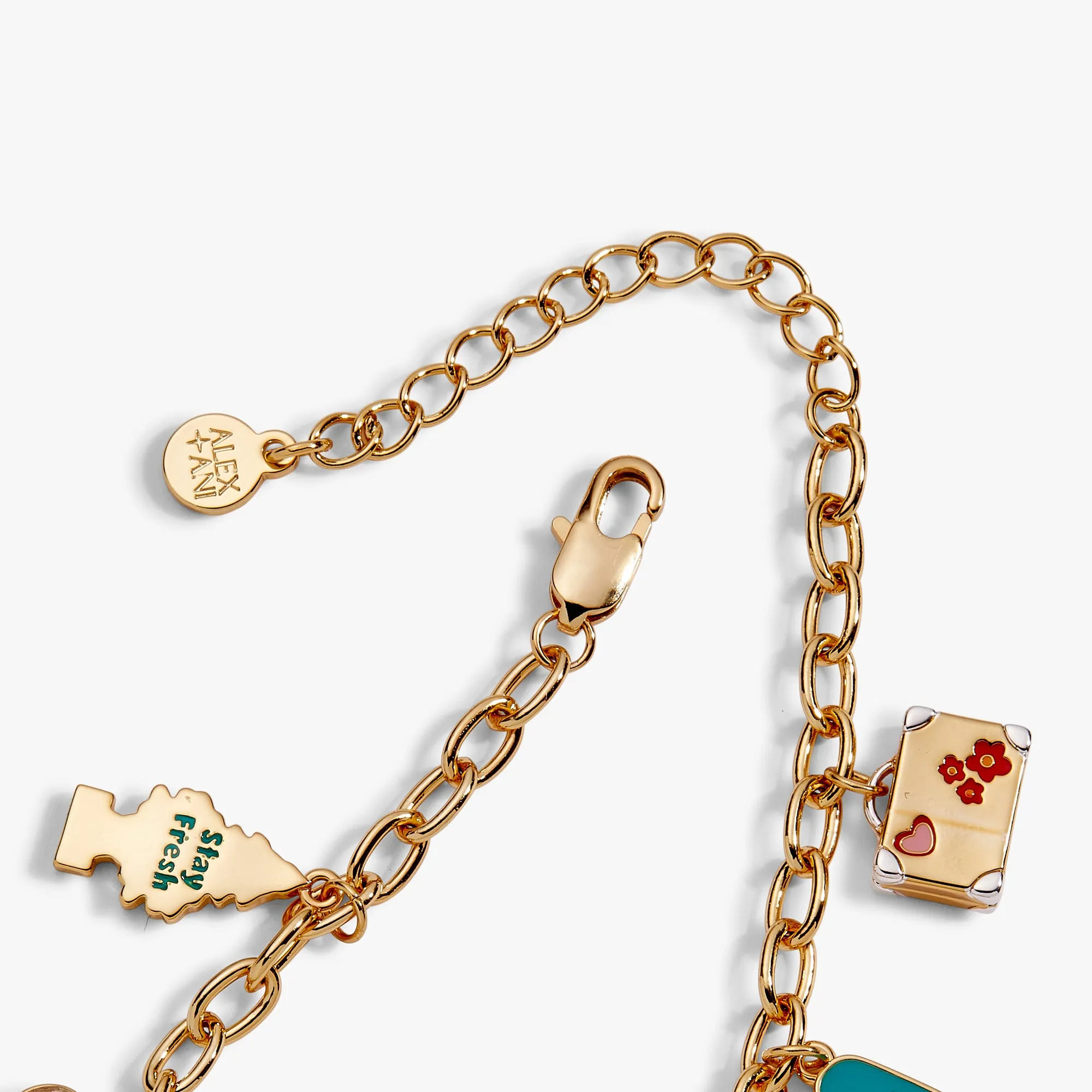 Road Trip Multi-Charm Bracelet sold by Alex and Ani product image thumbnail 3