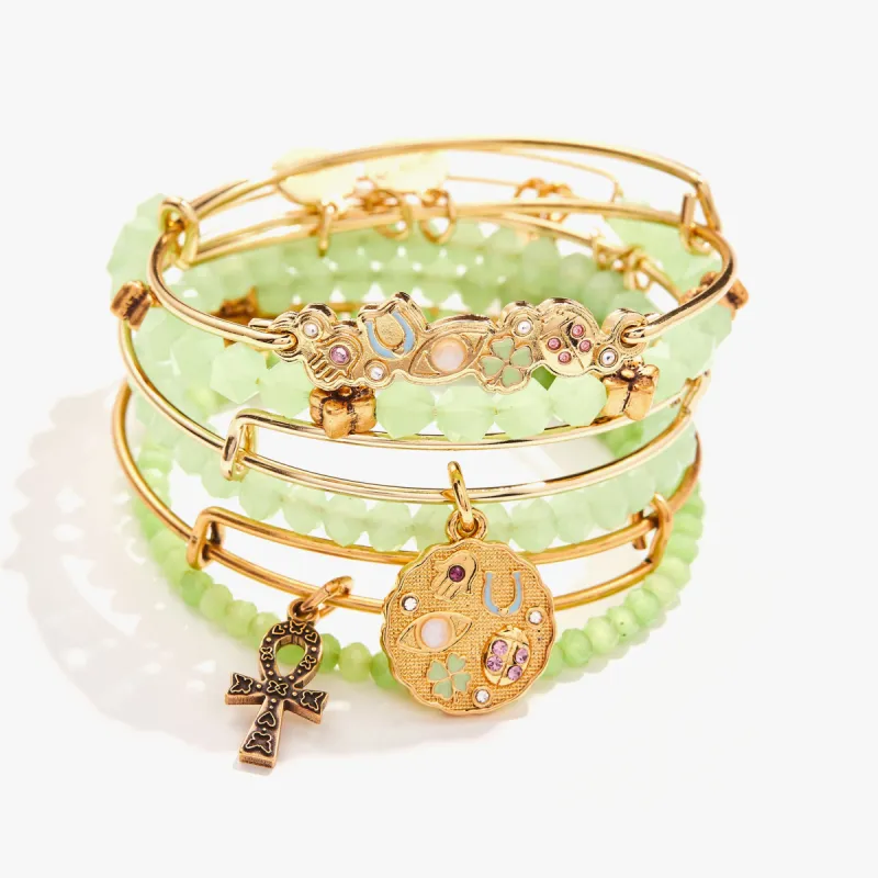 Manifest Abundance Charm Bangles, Set of 6 sold by Alex and Ani