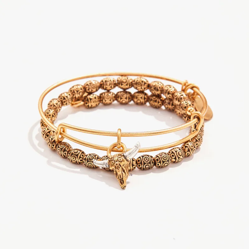 Manifest Strength Charm Bangles, Set of 2 sold by Alex and Ani