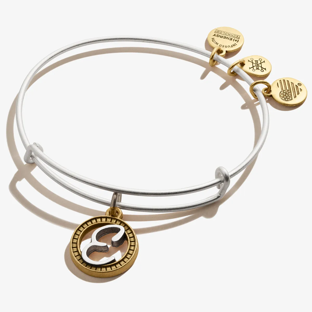 Initial E Charm Bangle, Two-Tone sold by Alex and Ani
