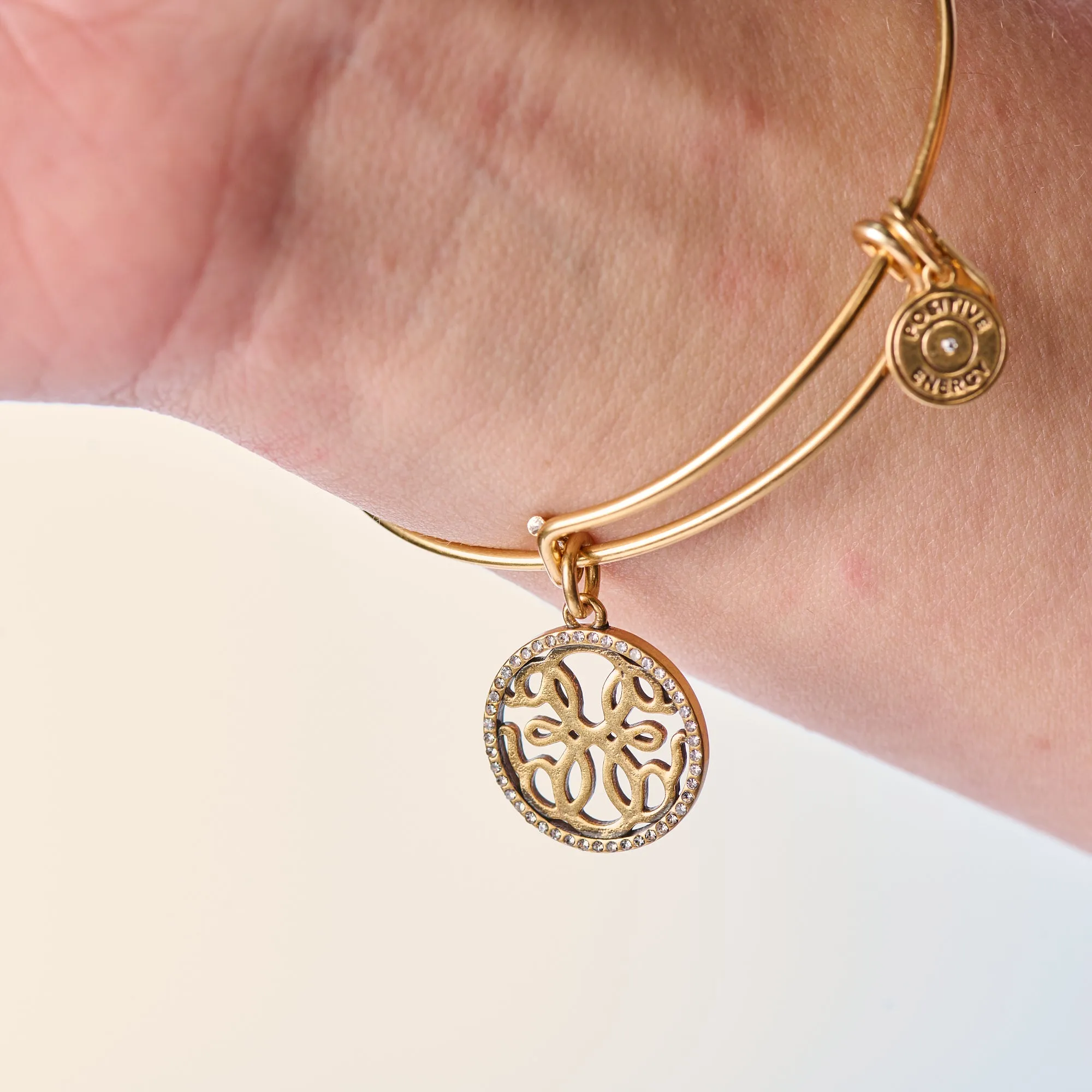 Path of Life Charm Bangle sold by Alex and Ani product image thumbnail 5