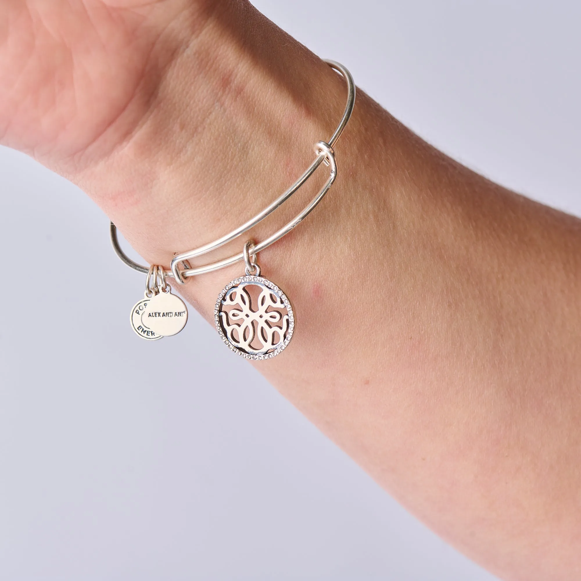Path of Life Charm Bangle sold by Alex and Ani product image thumbnail 3