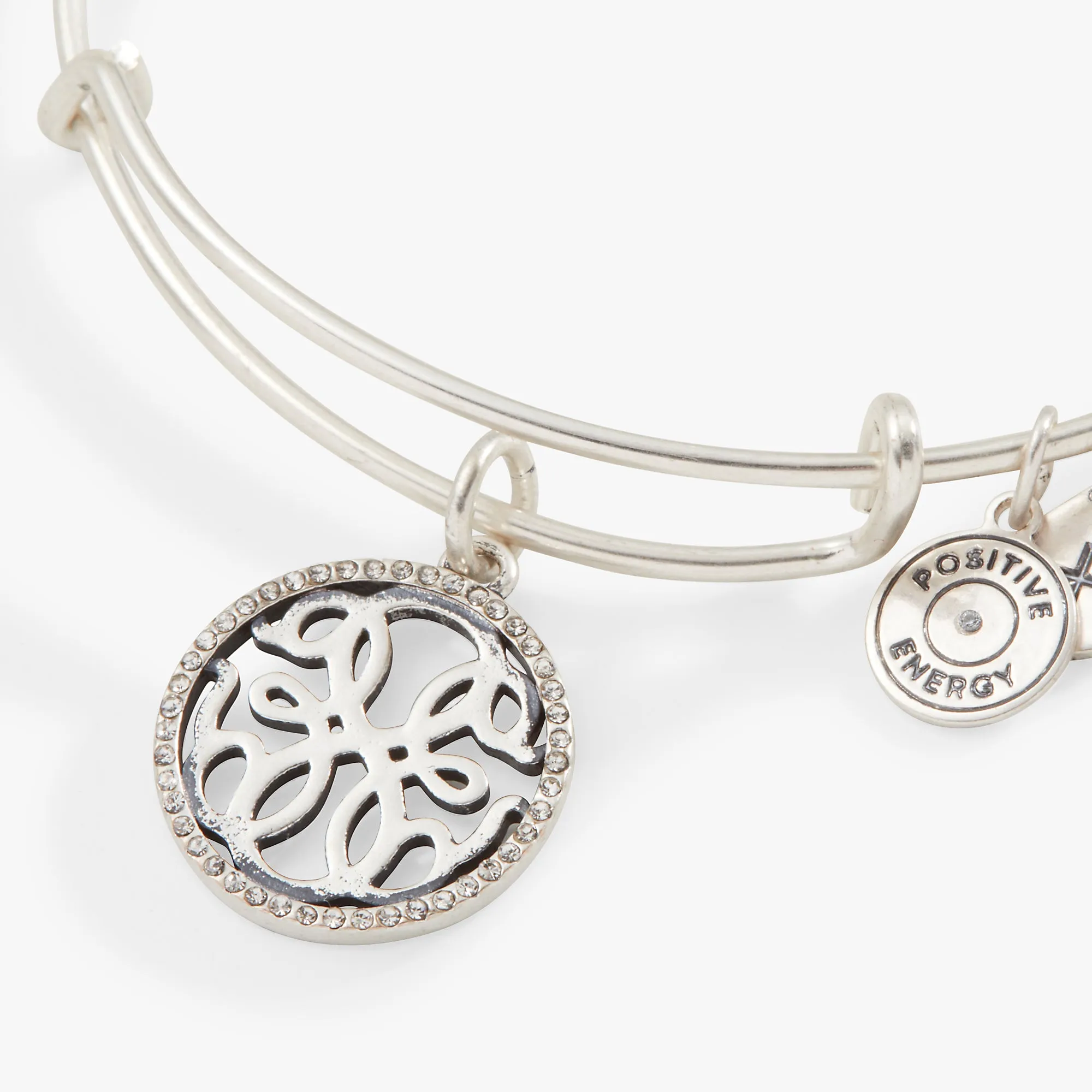 Path of Life Charm Bangle sold by Alex and Ani