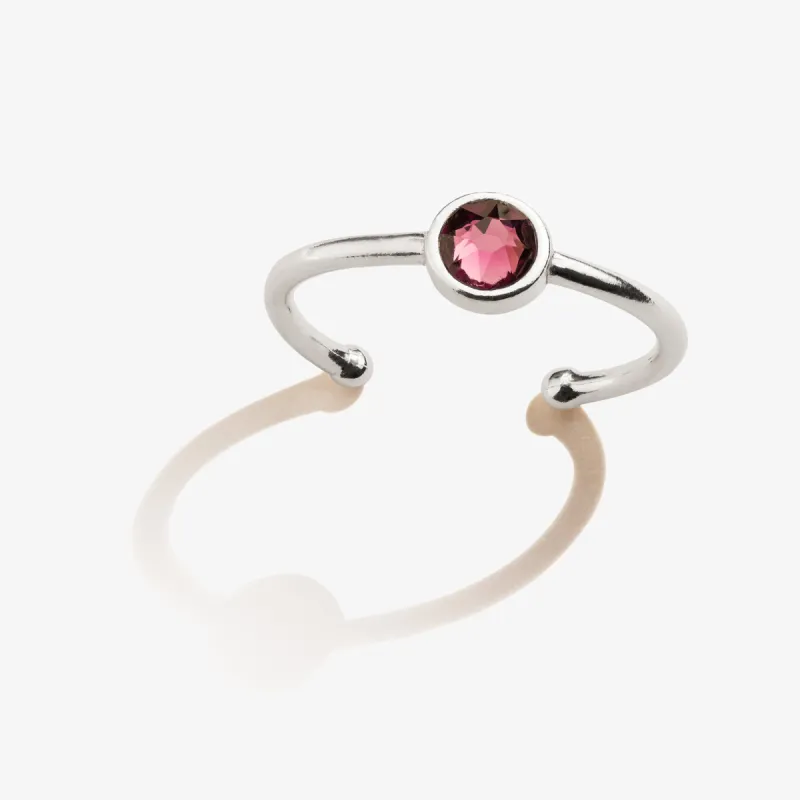 Amethyst Birthstone Ring, February sold by Alex and Ani