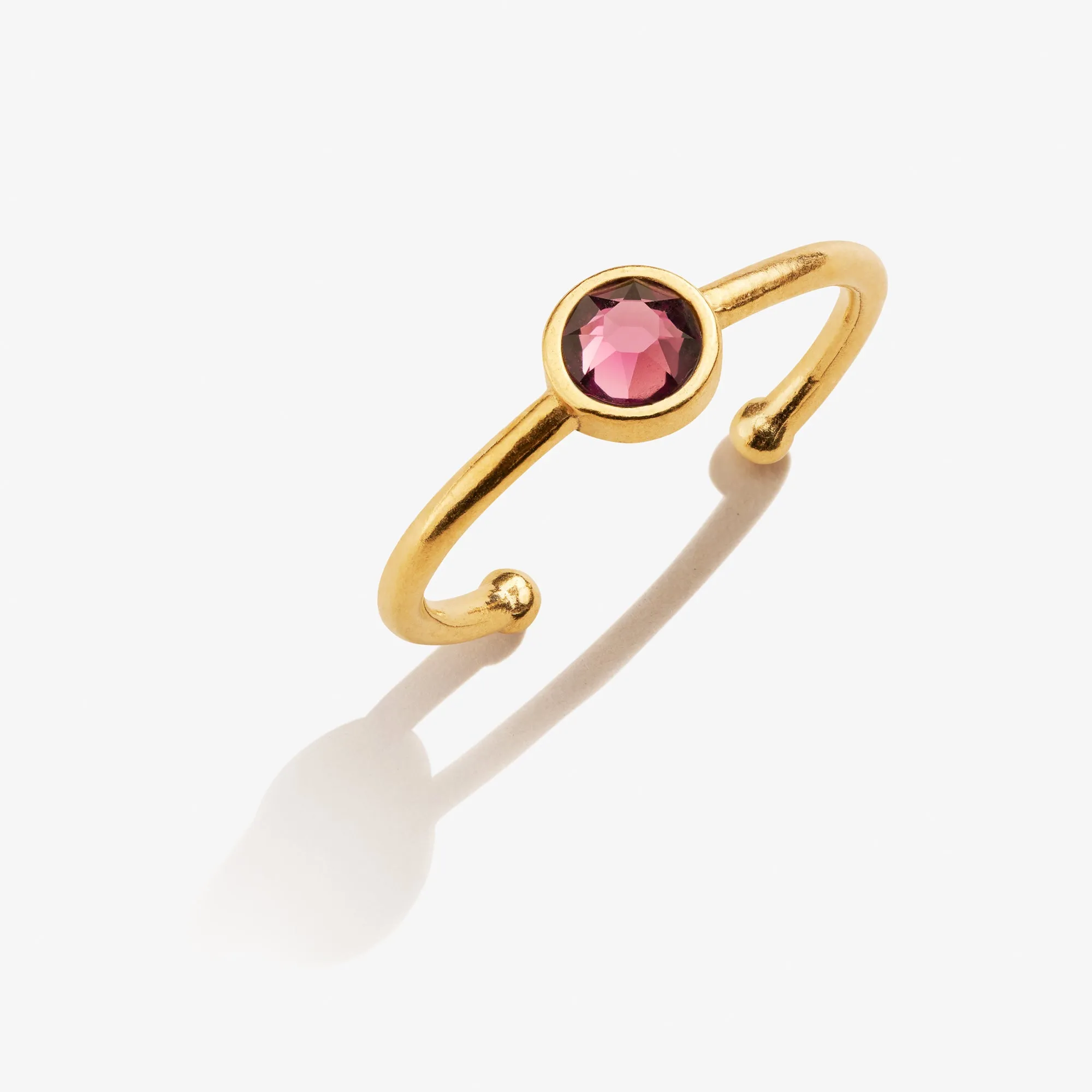 Amethyst Birthstone Ring, February sold by Alex and Ani product image thumbnail 2