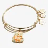 'Hallowqueen' Charm Bangle sold by Alex and Ani