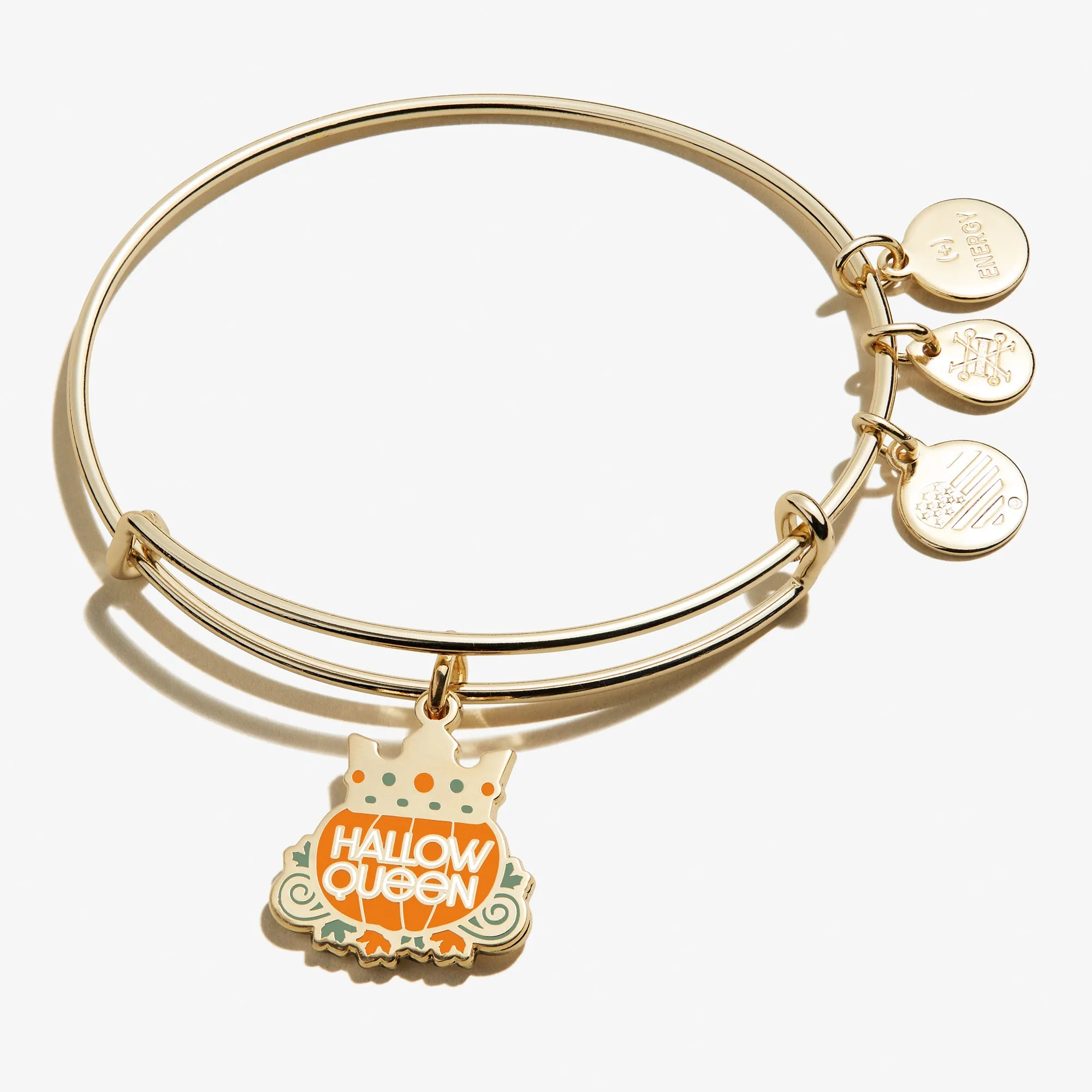 'Hallowqueen' Charm Bangle sold by Alex and Ani