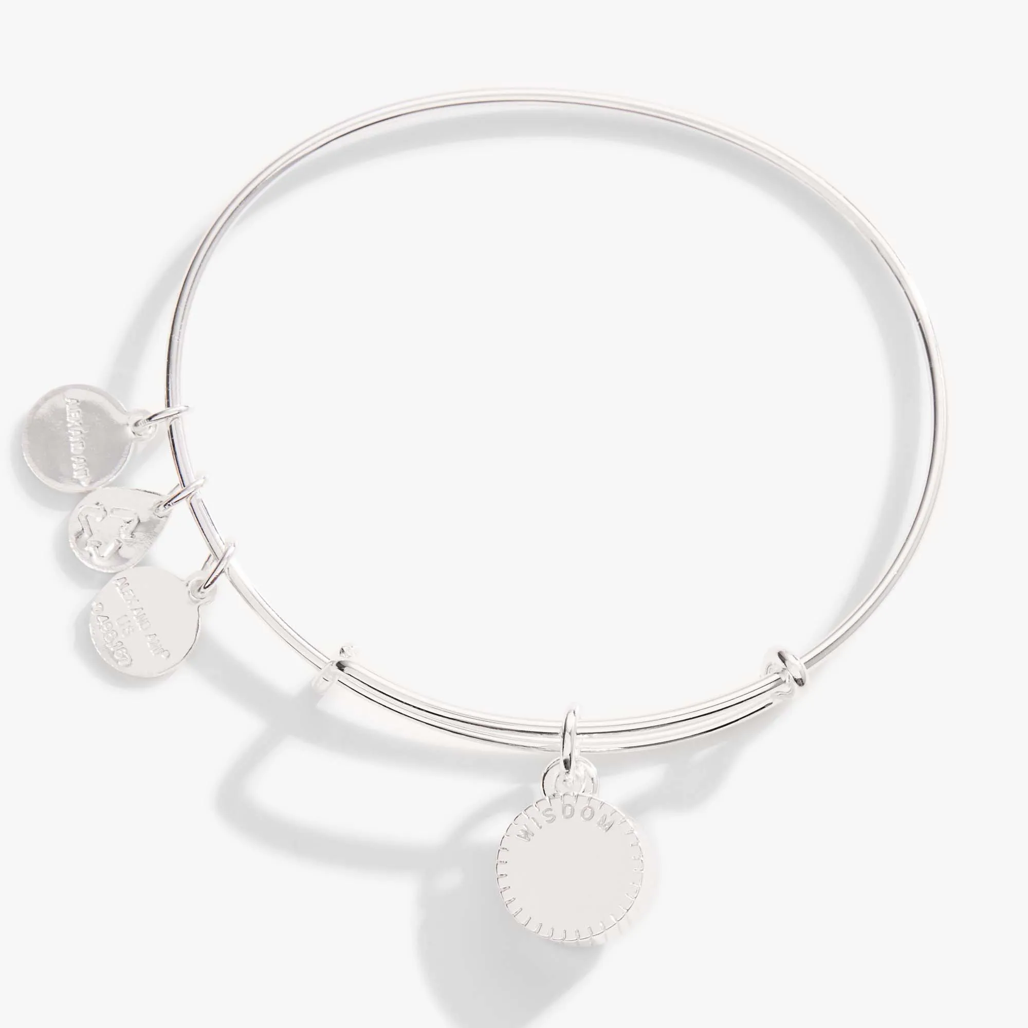 September Birthstone Charm Bangle, Sapphire sold by Alex and Ani product image thumbnail 2