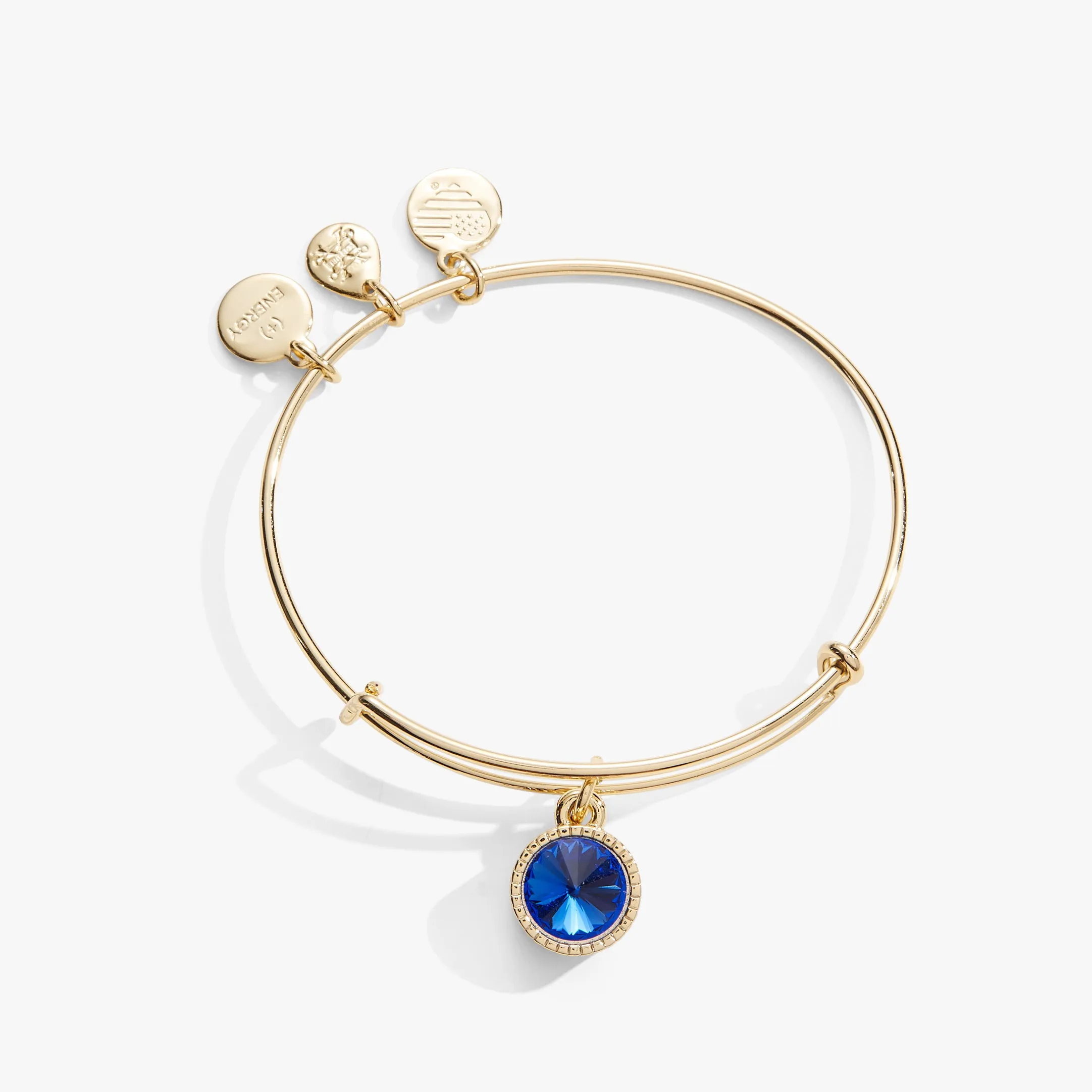 September Birthstone Charm Bangle, Sapphire sold by Alex and Ani product image thumbnail 4