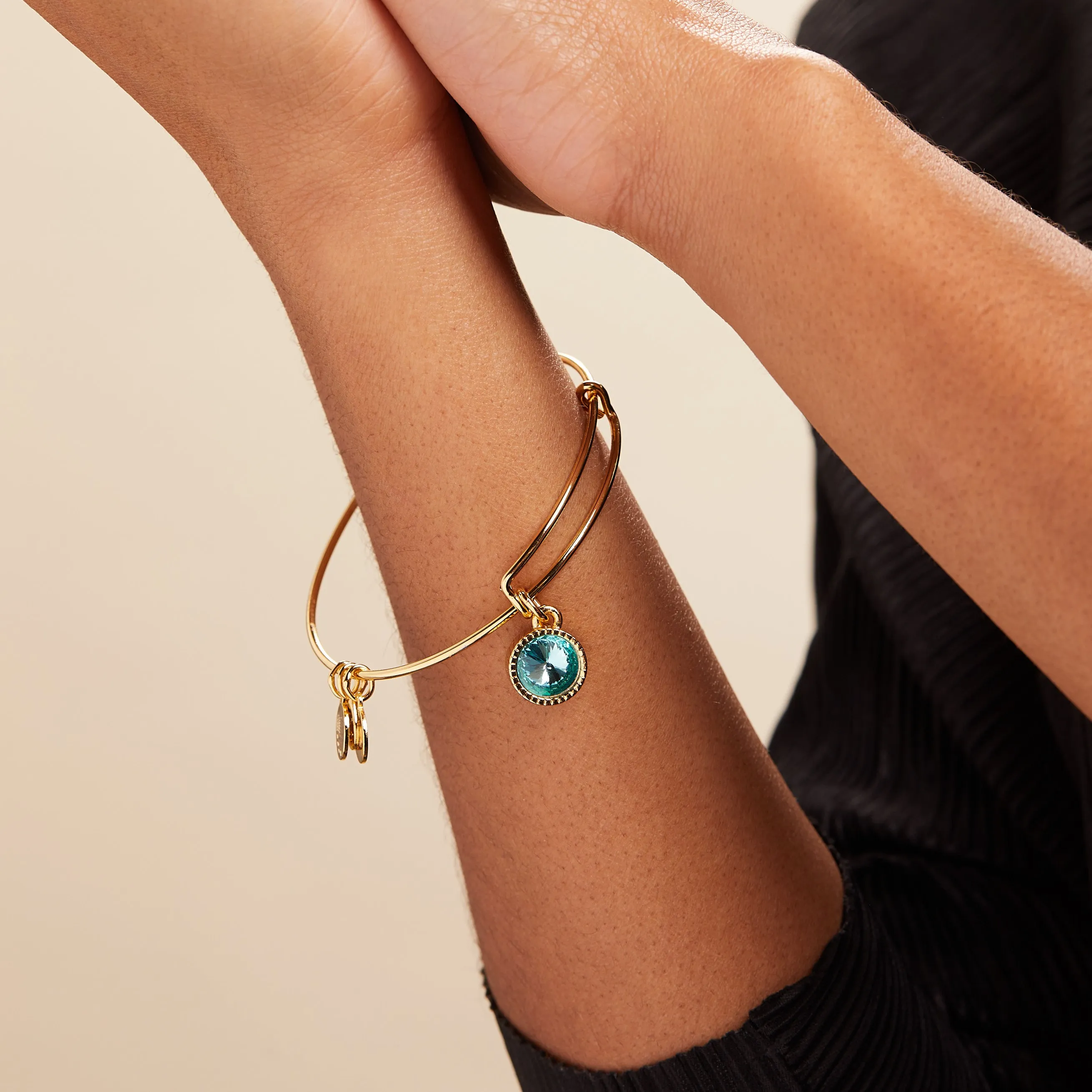 March Birthstone Charm Bangle, Aquamarine sold by Alex and Ani product image thumbnail 5