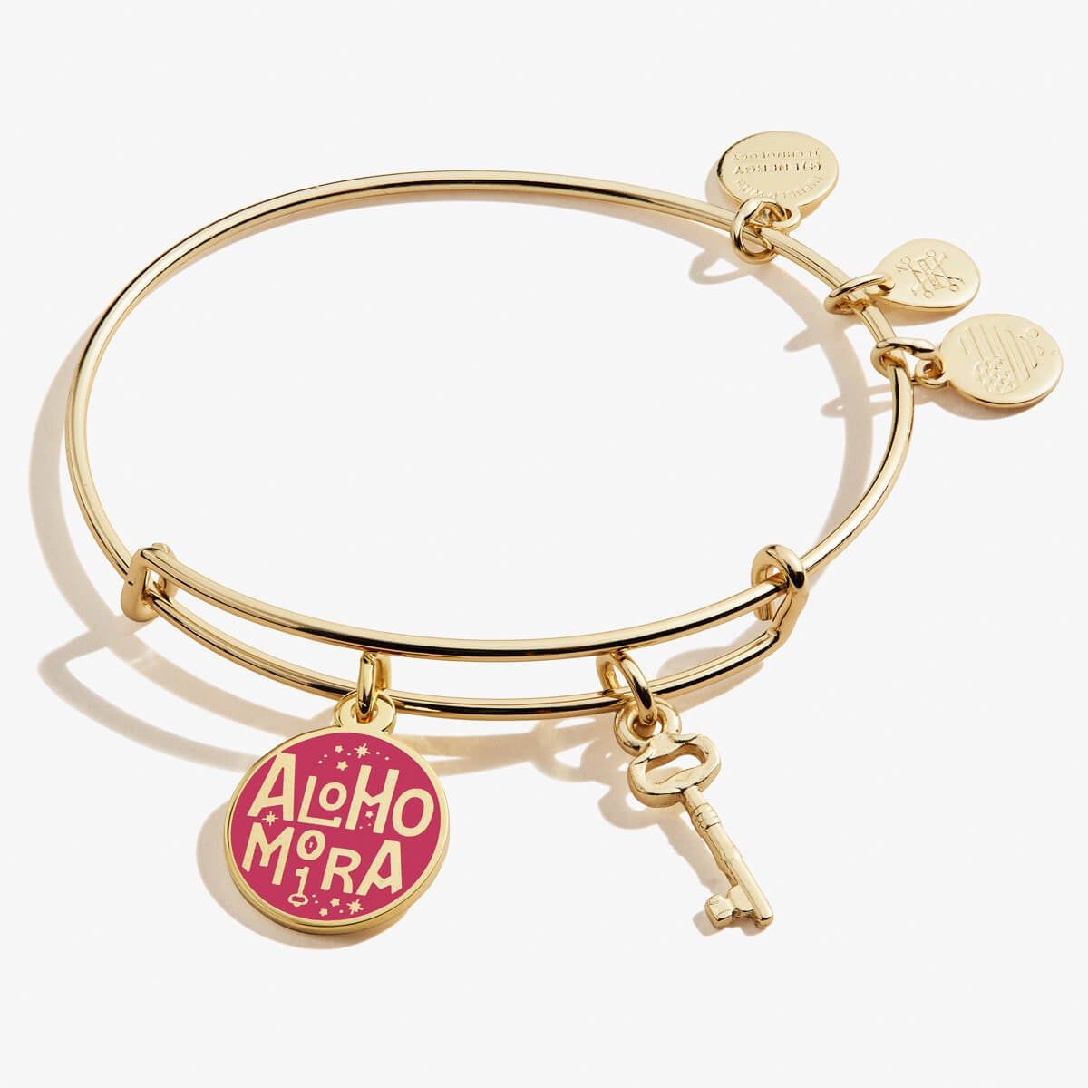 Harry Potter™ Alohomora™ Duo Charm Bangle sold by Alex and Ani