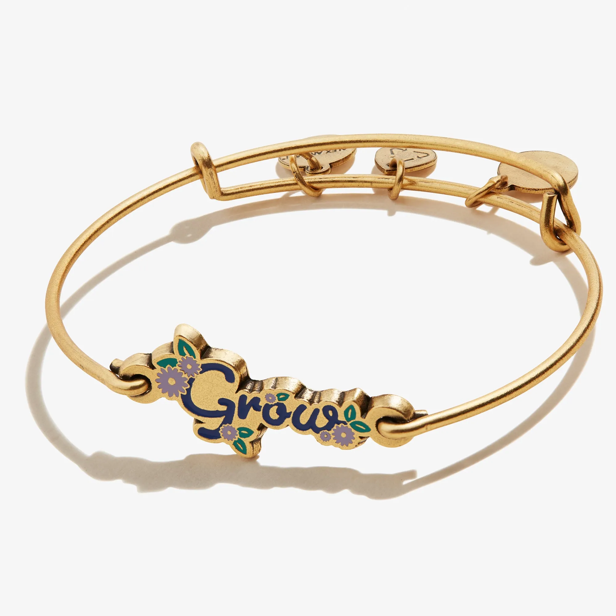 'Grow' Inline Charm Bangle sold by Alex and Ani