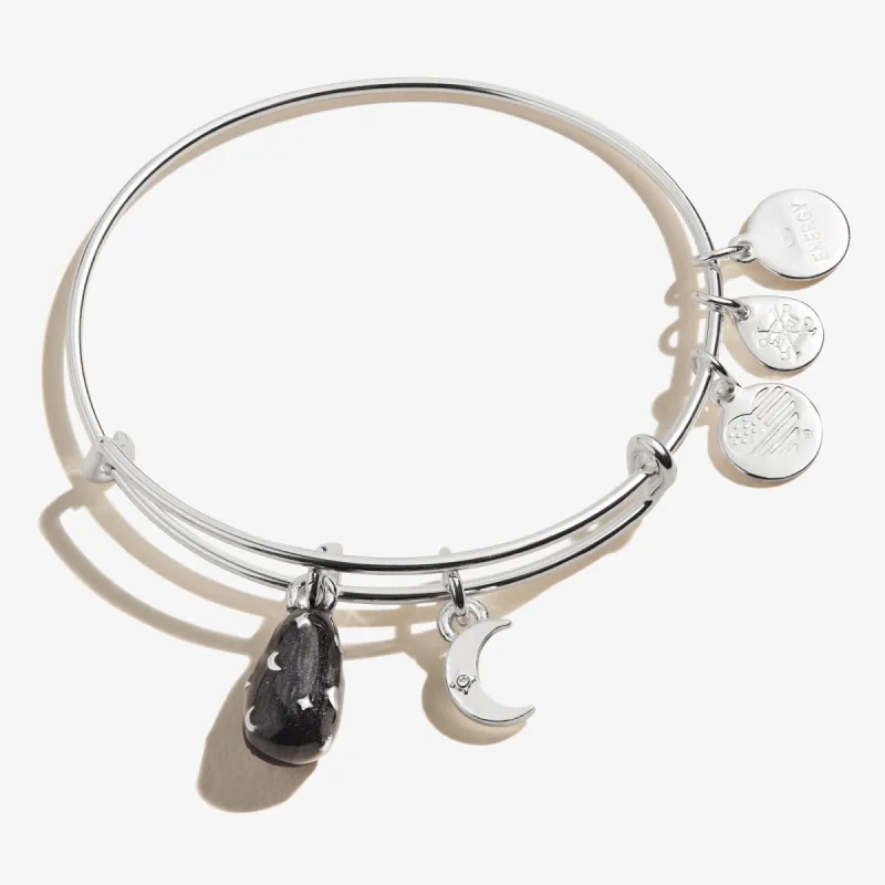 Celestial Moon Duo Charm Bangle sold by Alex and Ani