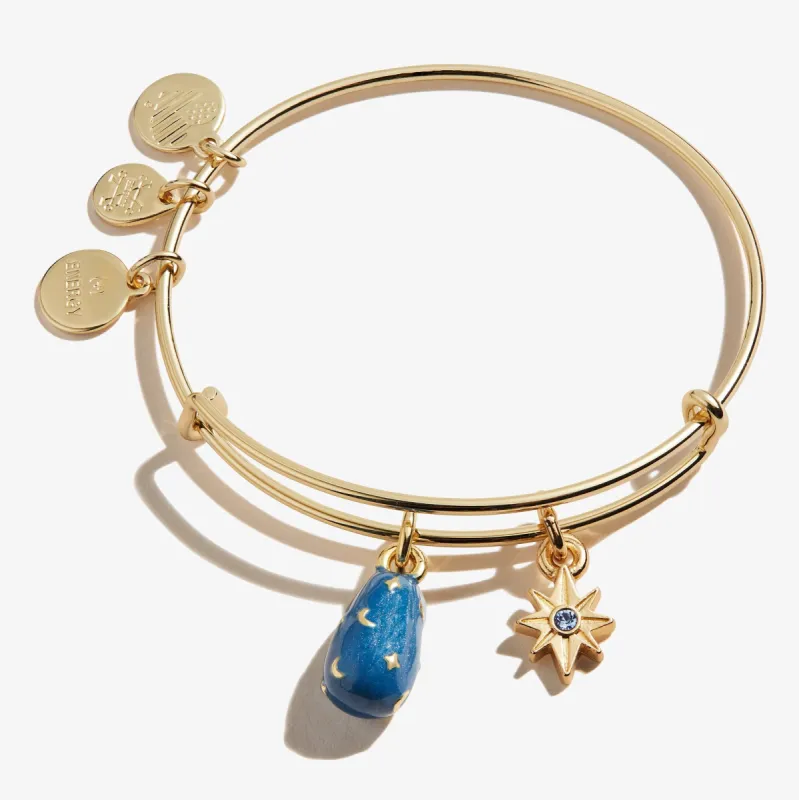 Celestial Starburst Duo Charm Bangle sold by Alex and Ani