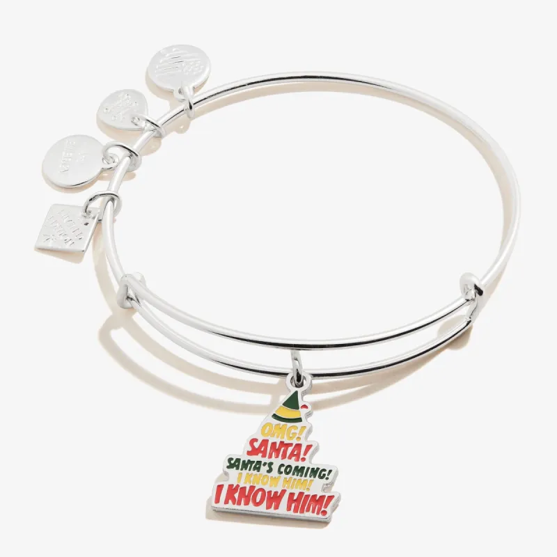 Elf™ 'Santa! I Know Him' Charm Bangle sold by Alex and Ani