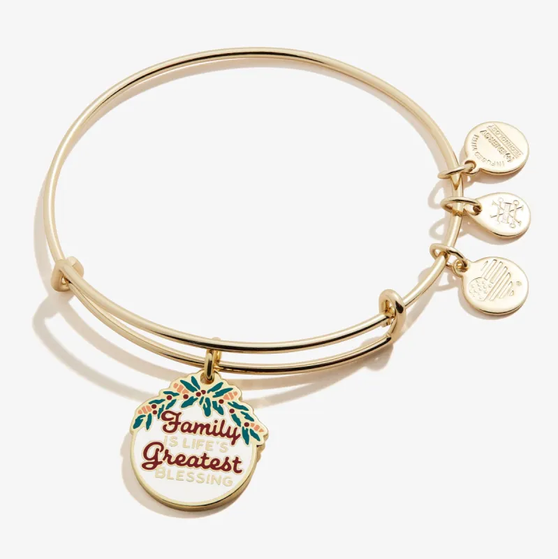 'Family is Life's Greatest Blessing' Charm Bangle sold by Alex and Ani