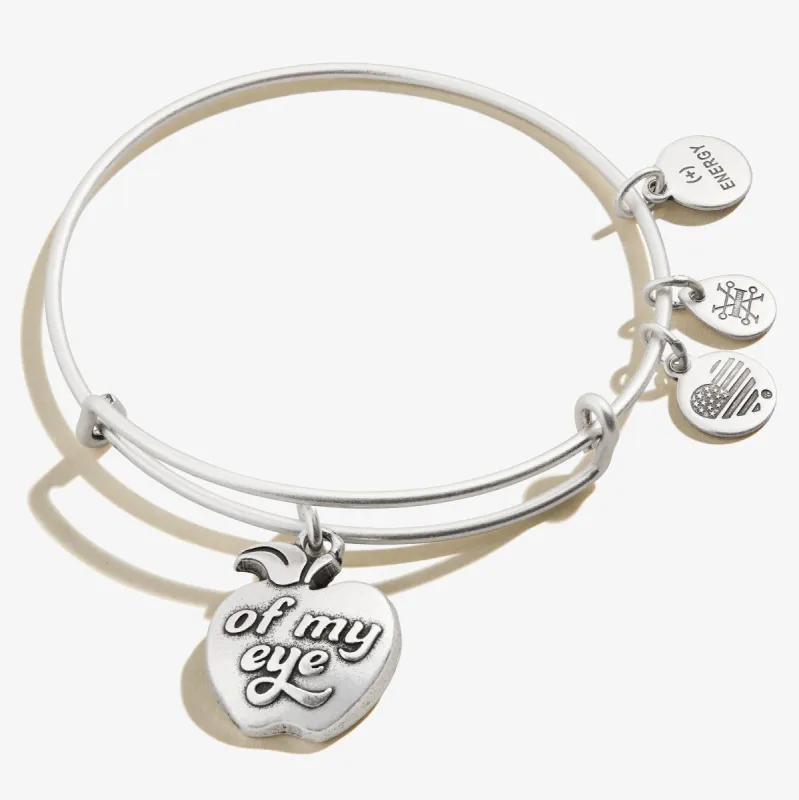 Apple of My Eye Charm Bangle sold by Alex and Ani