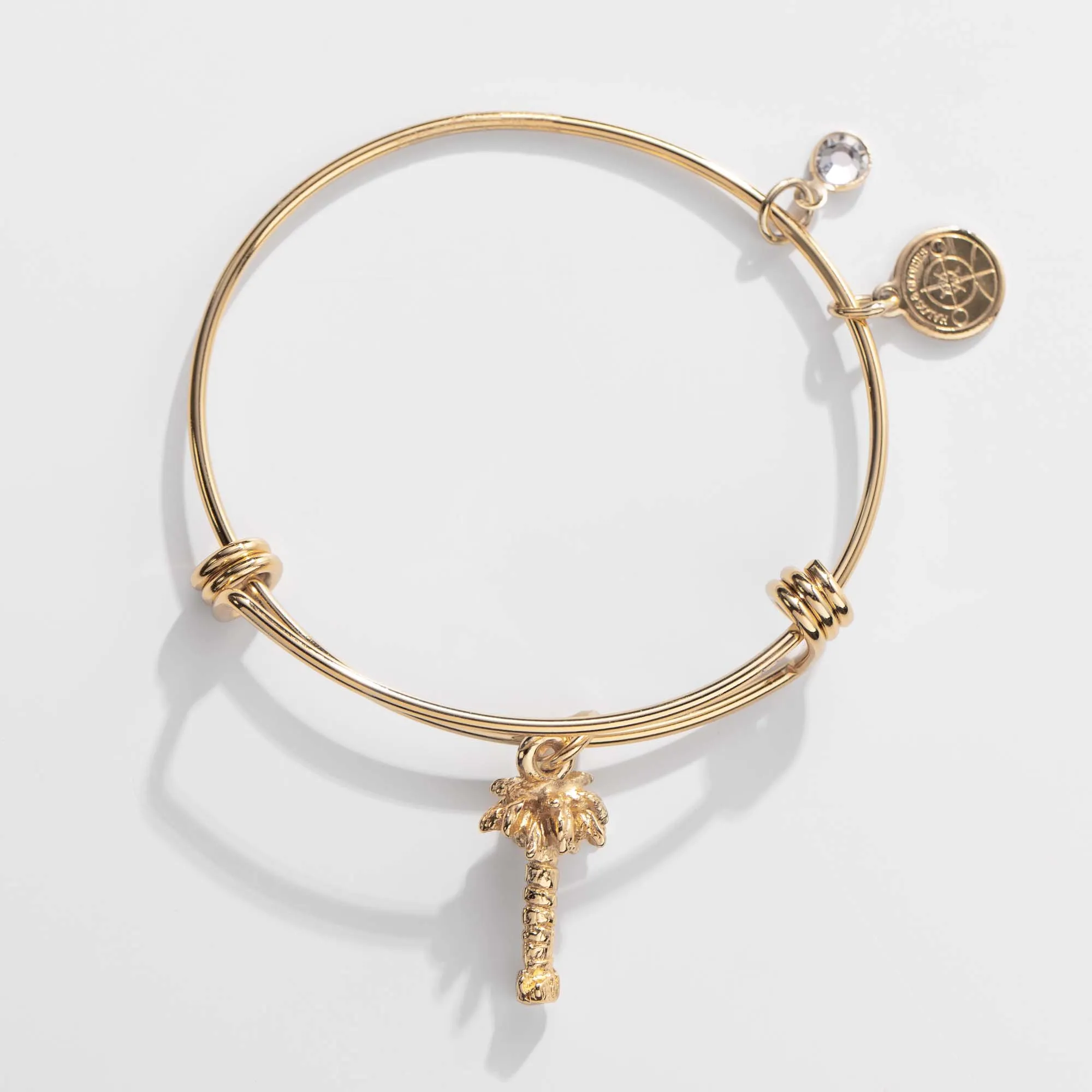Palm Tree Charm Bangle, Halos & Glories sold by Alex and Ani