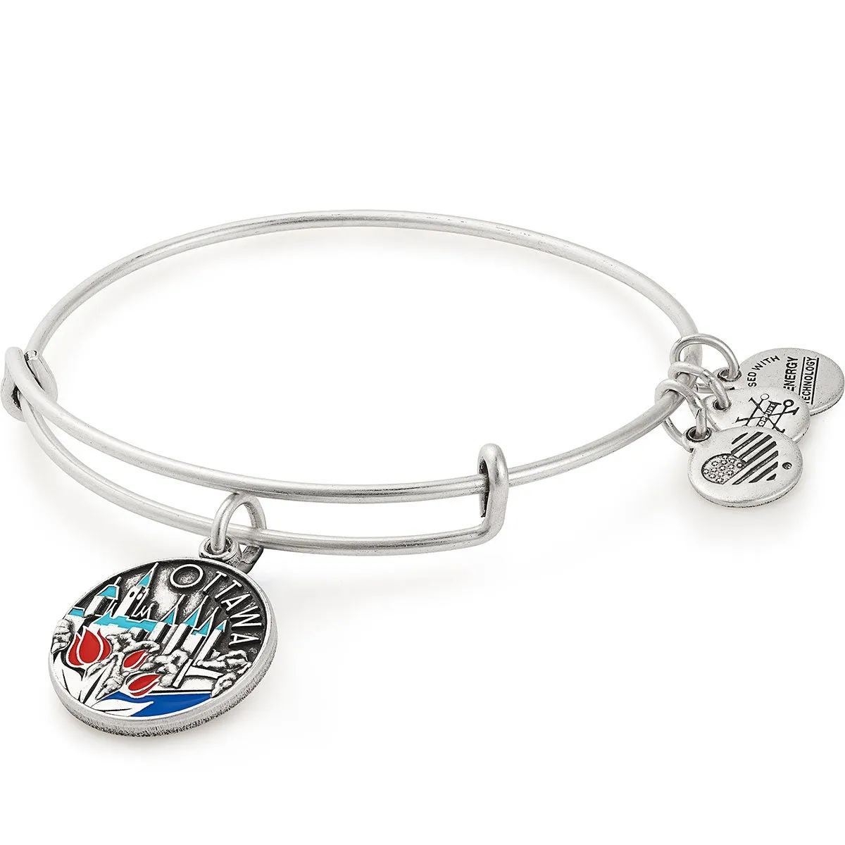 Ottawa Charm Bangle sold by Alex and Ani
