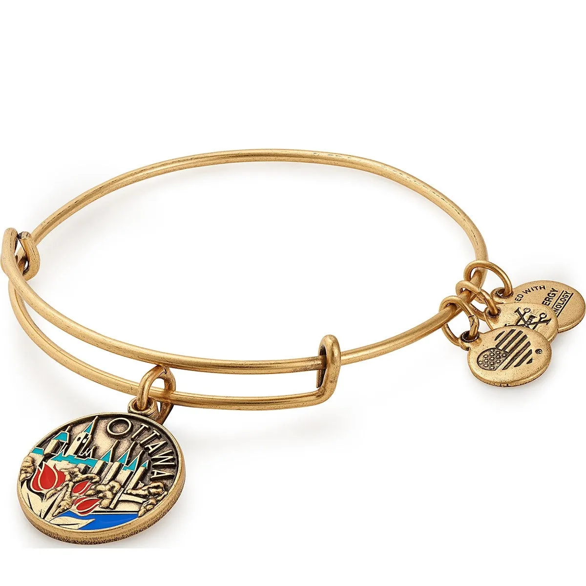 Ottawa Charm Bangle sold by Alex and Ani product image thumbnail 3