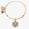 Medical Charm Bangle sold by Alex and Ani