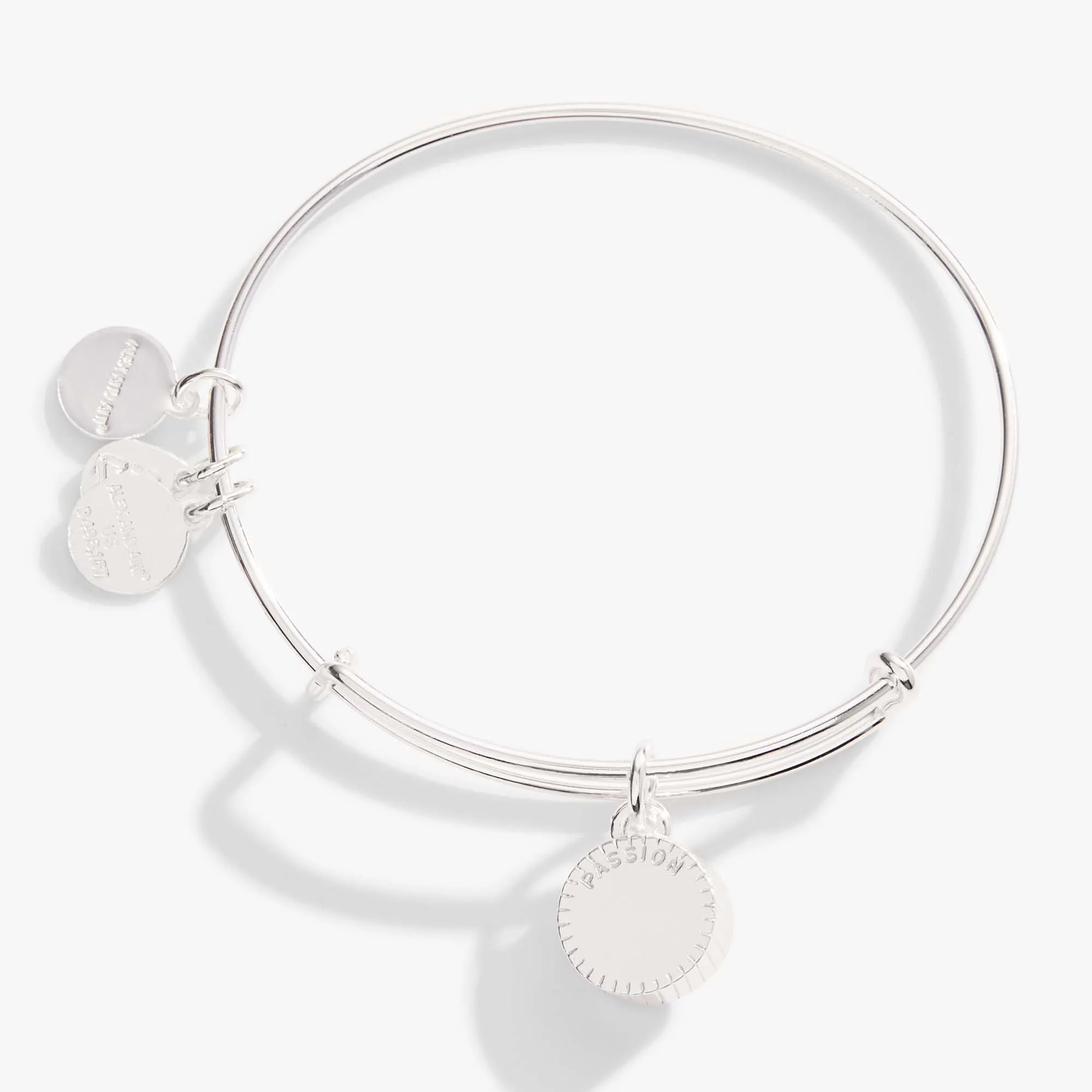 July Birthstone Charm Bangle, Ruby sold by Alex and Ani product image thumbnail 3