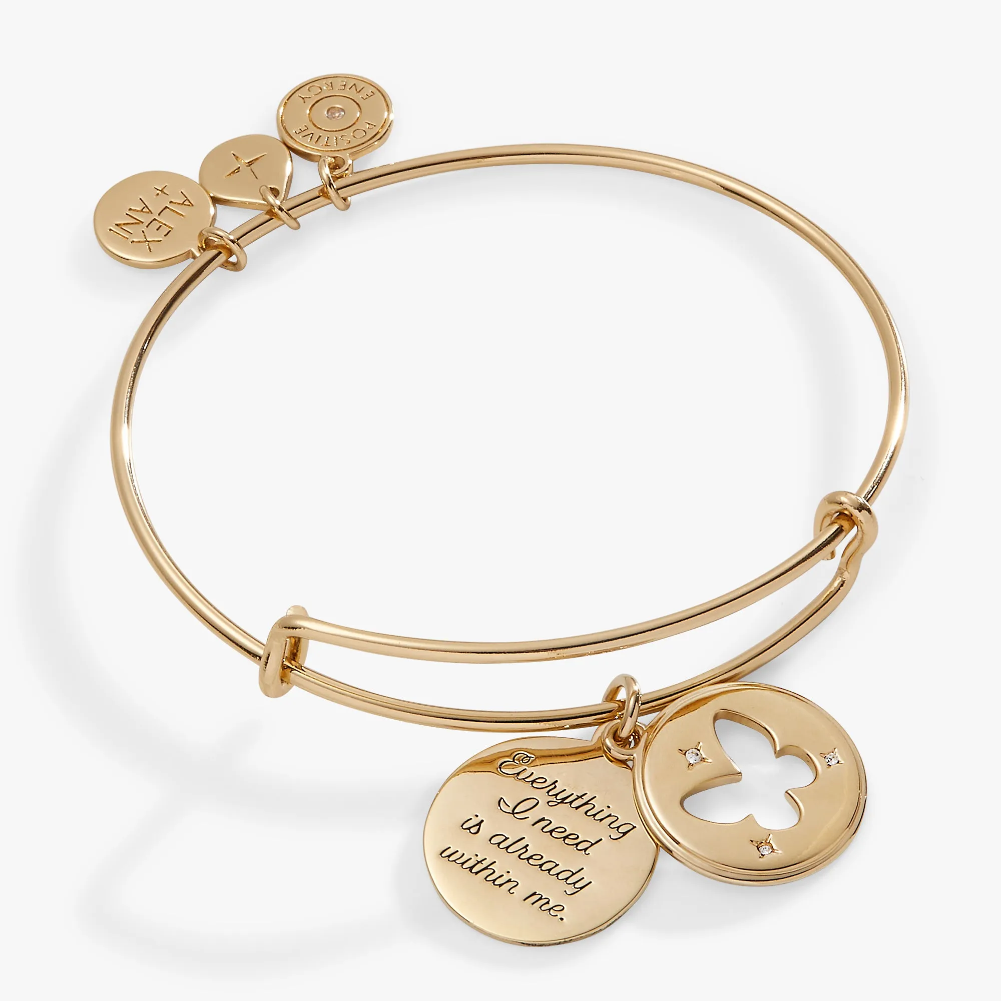 Hidden Message Butterfly Affirmation Bangle sold by Alex and Ani